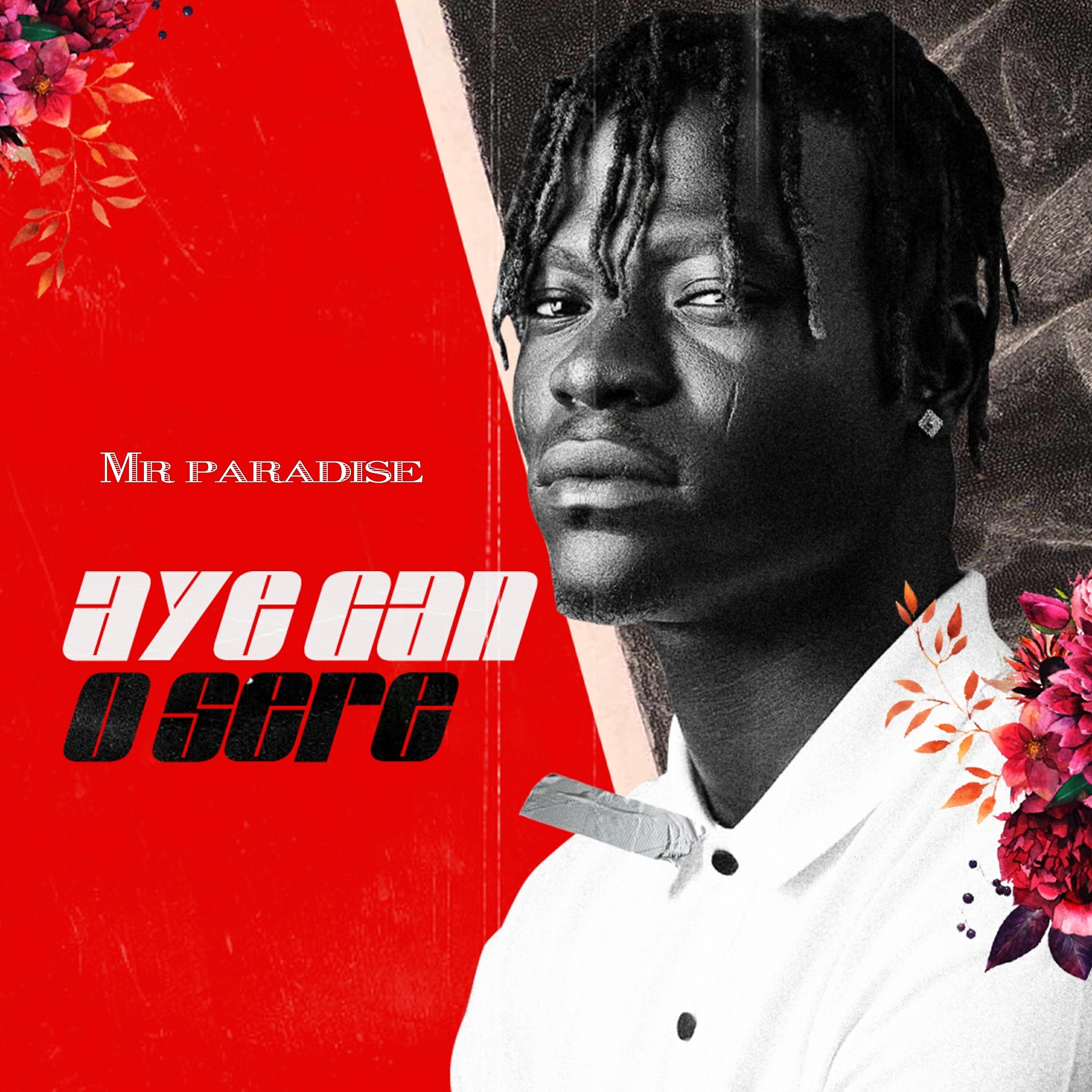 Mr Paradise - Aye Gan Osere