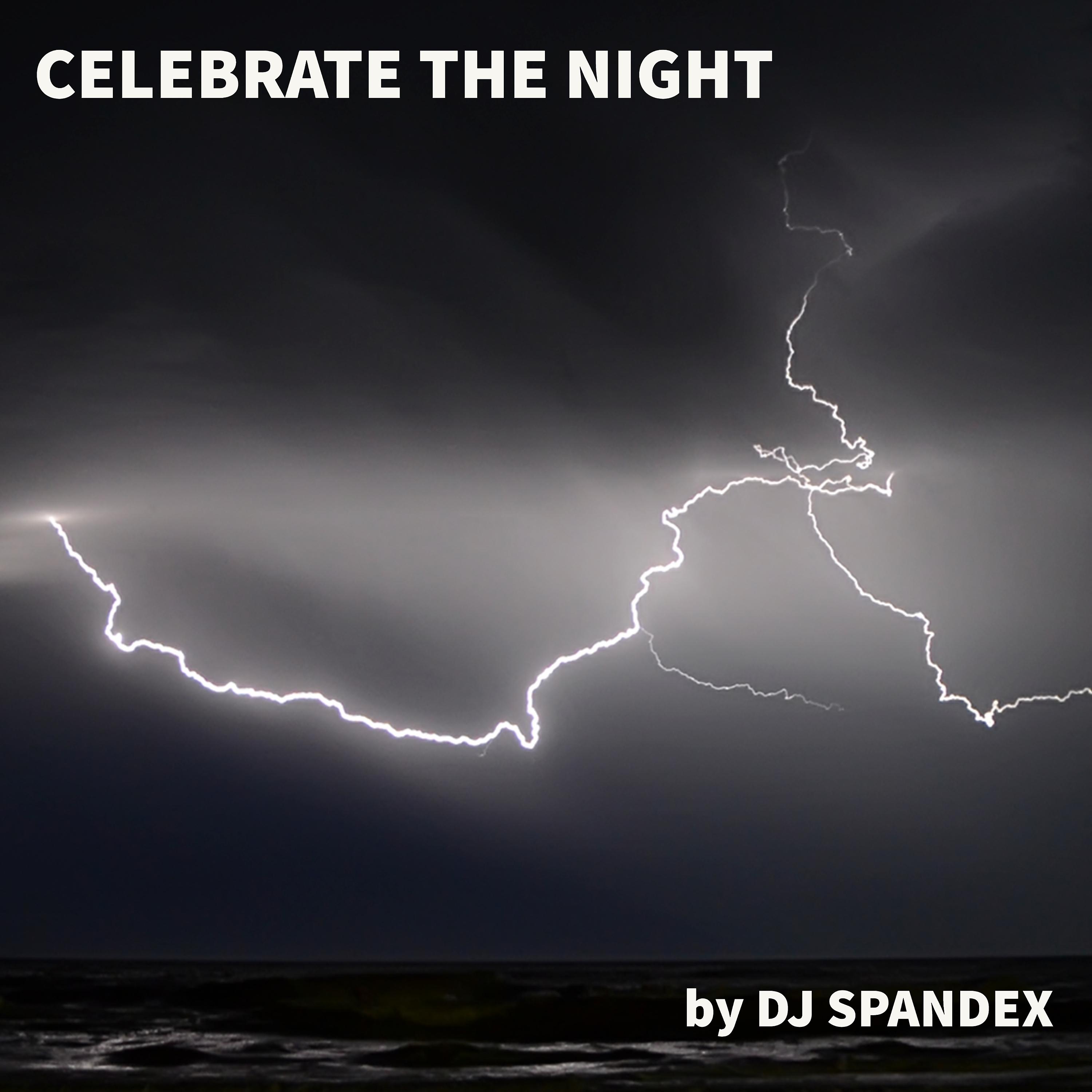 Постер альбома Celebrate the Night