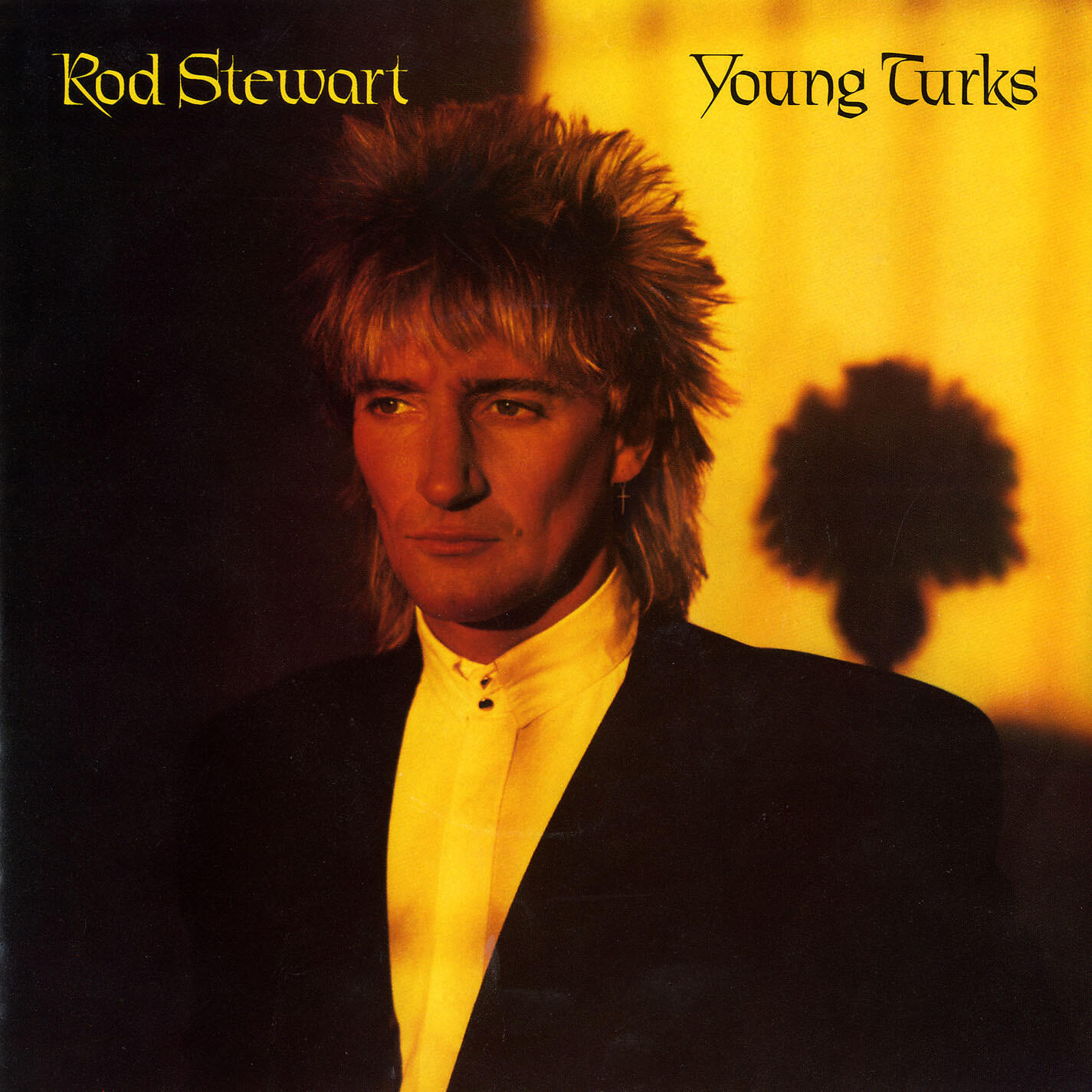 Rod Stewart - Sonny
