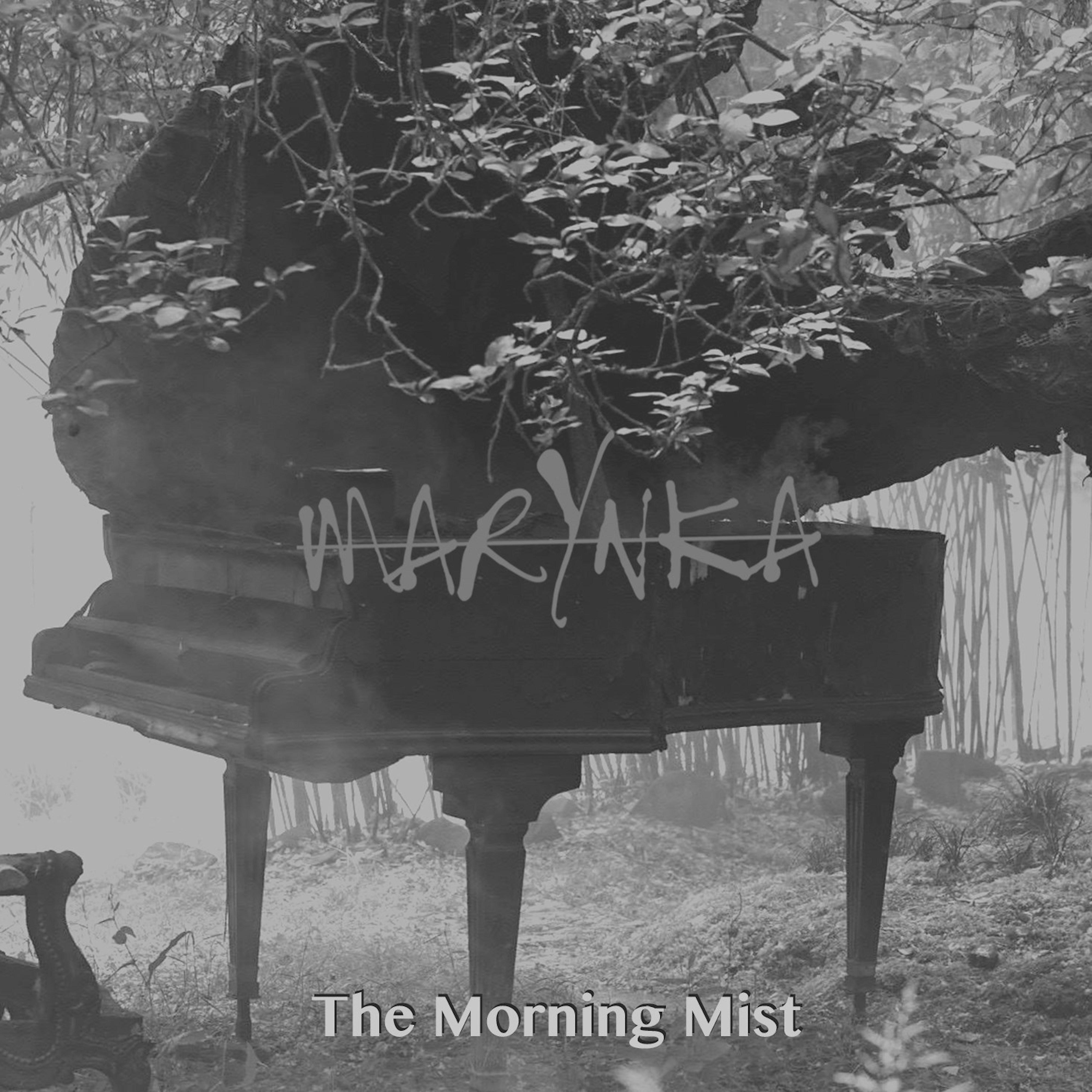 Постер альбома Morning Mist short edit