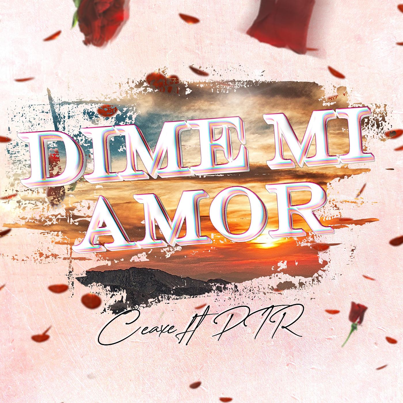 Постер альбома Dime Mi Amor