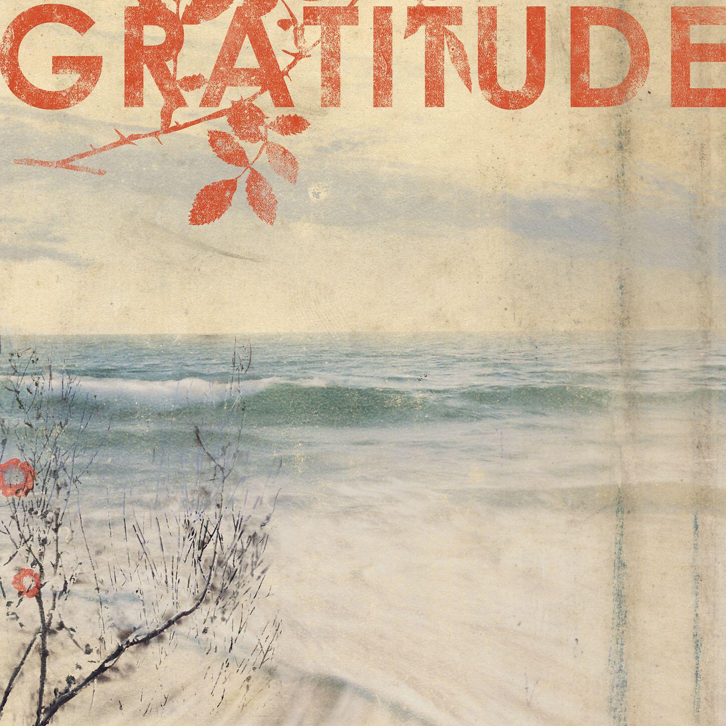 Gratitude - If Ever