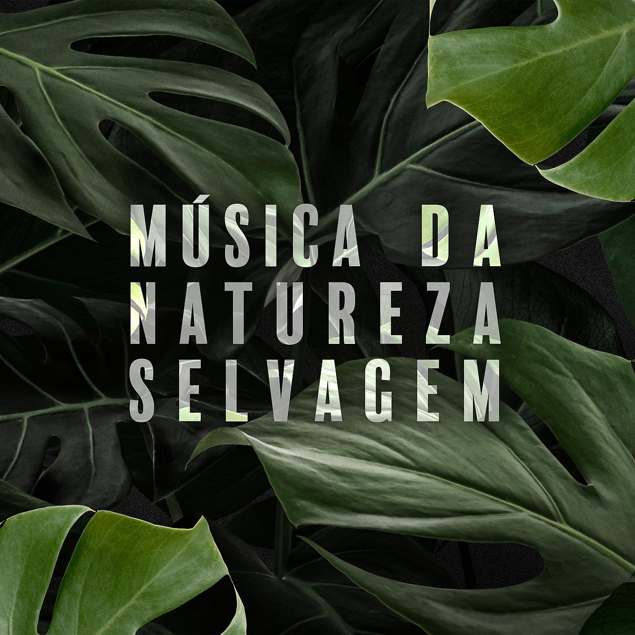 Постер альбома Música da Natureza Selvagem