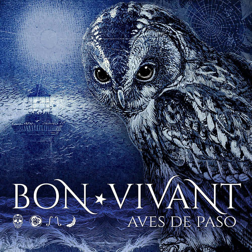 Постер альбома Aves de Paso