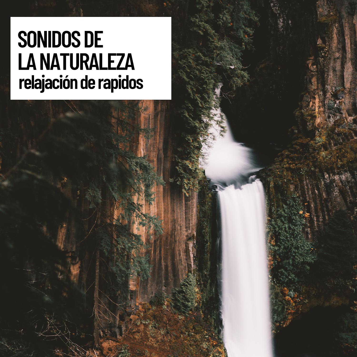 Постер альбома Sound Spatial Audio: Sonidos de la naturaleza: relajación de rapidos