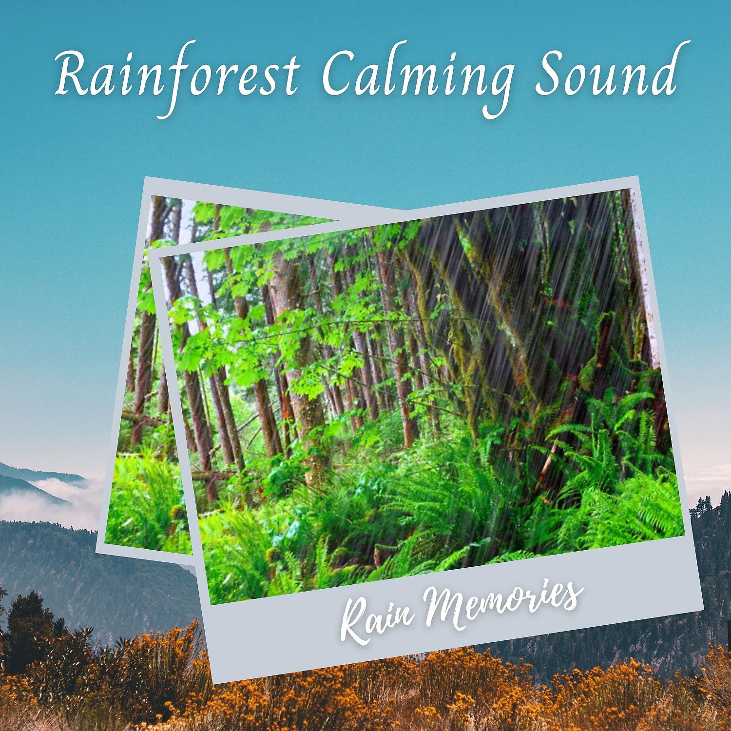 Постер альбома Rain Memories: Rainforest Calming Sound - 1 Hour