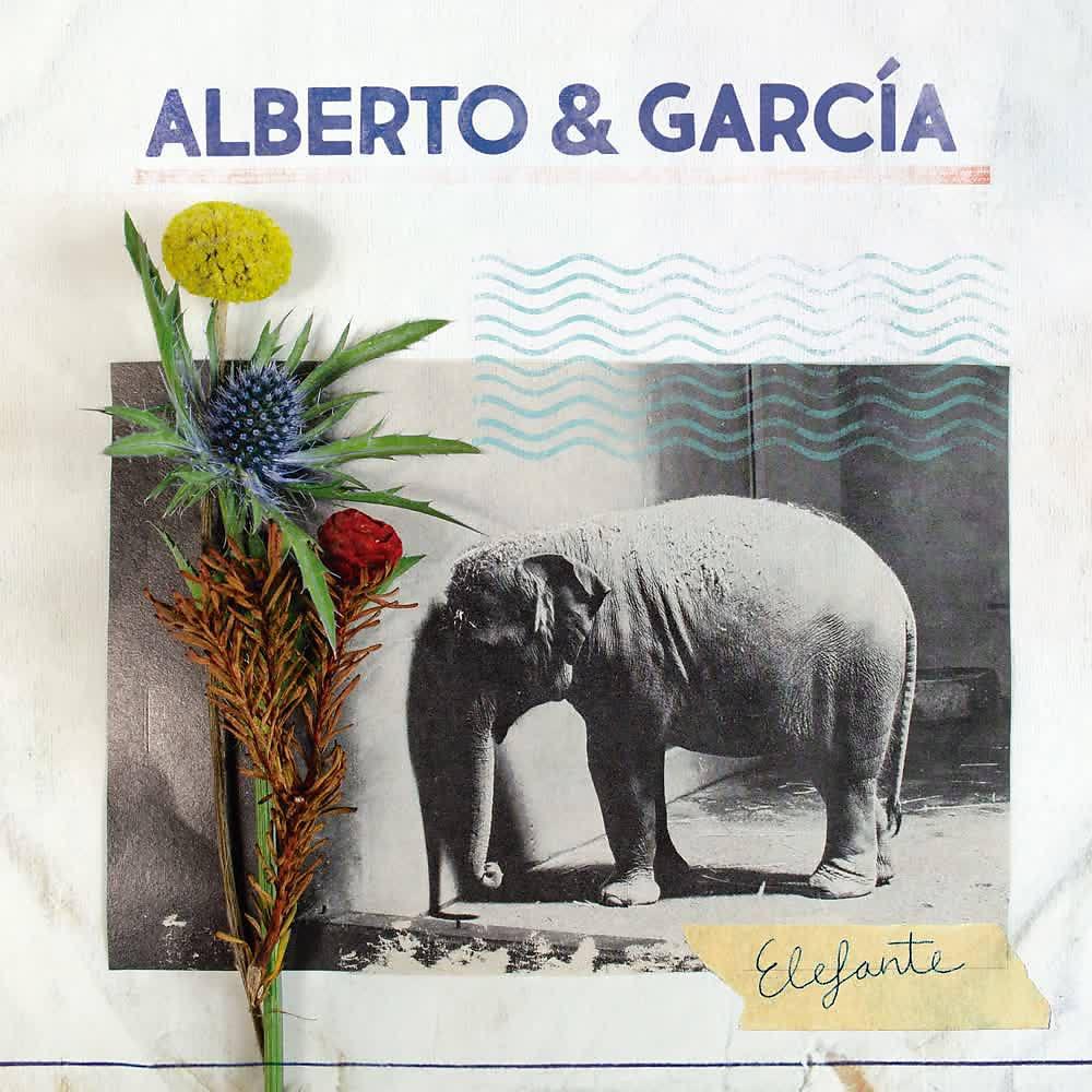 Постер альбома Elefante