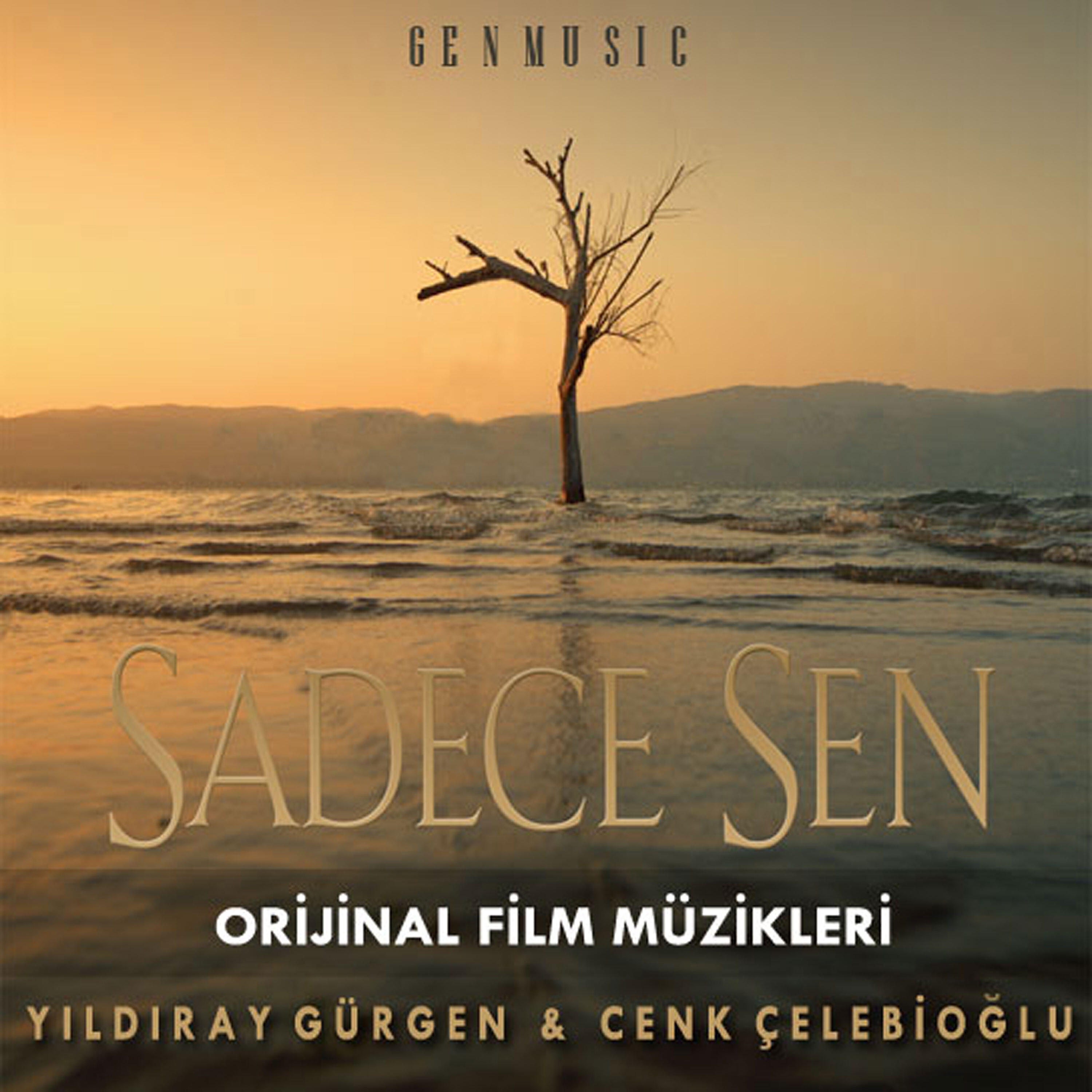 Cenk Çelebioğlu - Yakan Haber