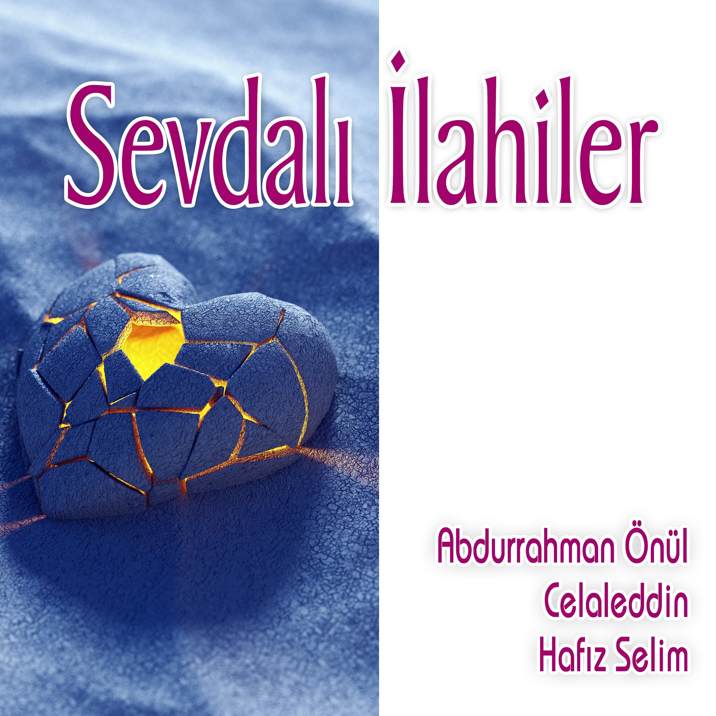 Постер альбома Sevdalı İlahiler