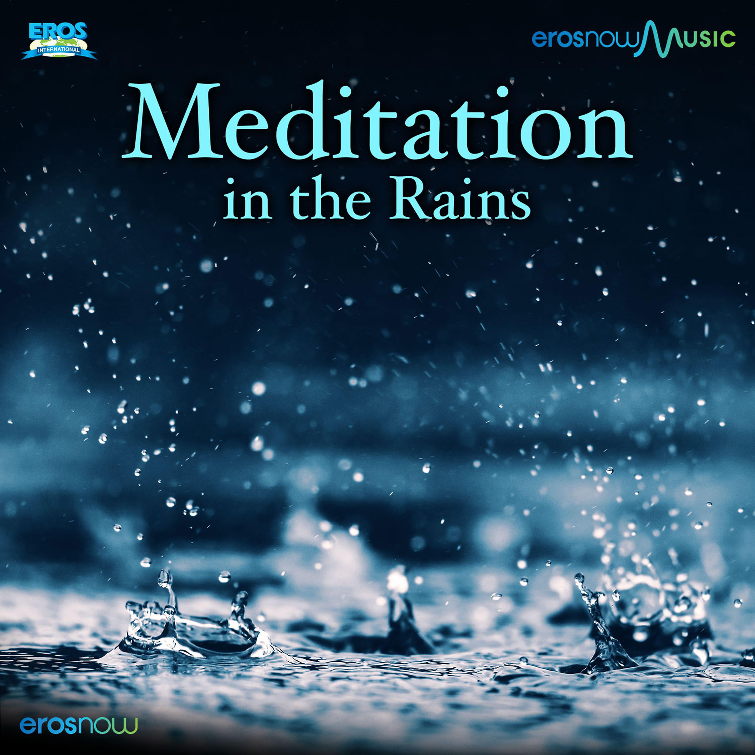 Постер альбома Meditation In The Rain