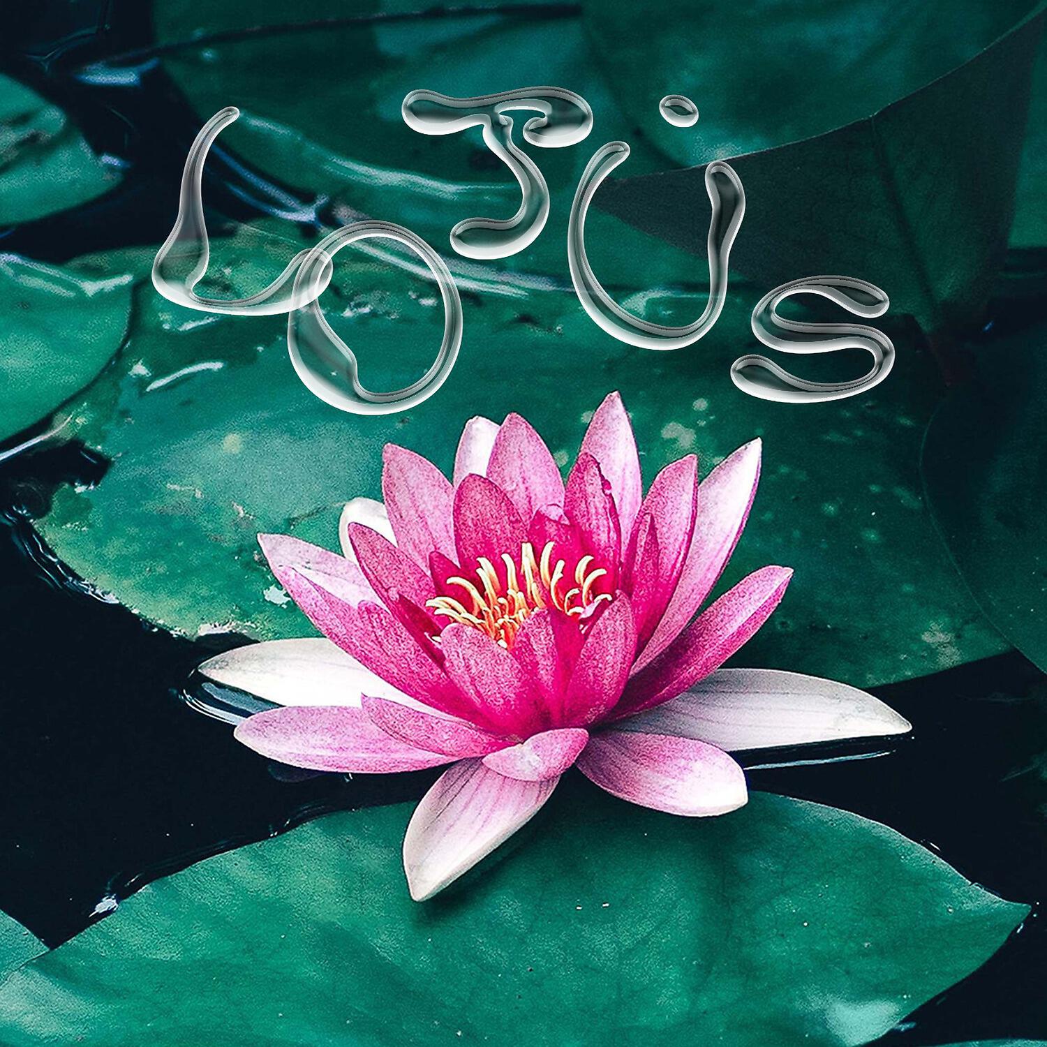 ajixxx - Lotus