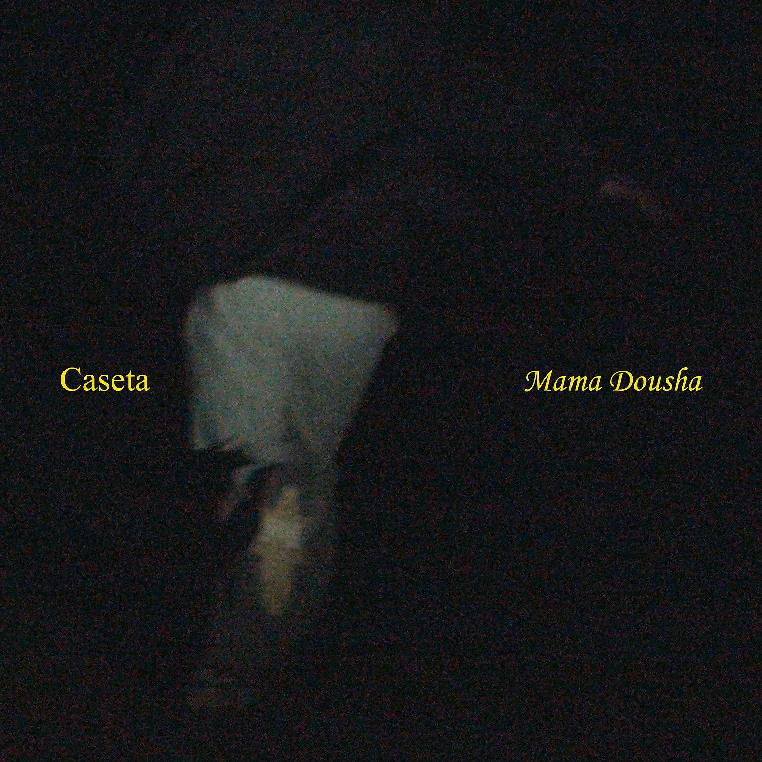 Постер альбома Caseta