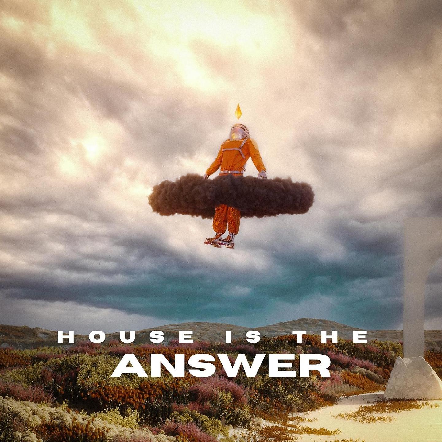 Постер альбома House is the Answer