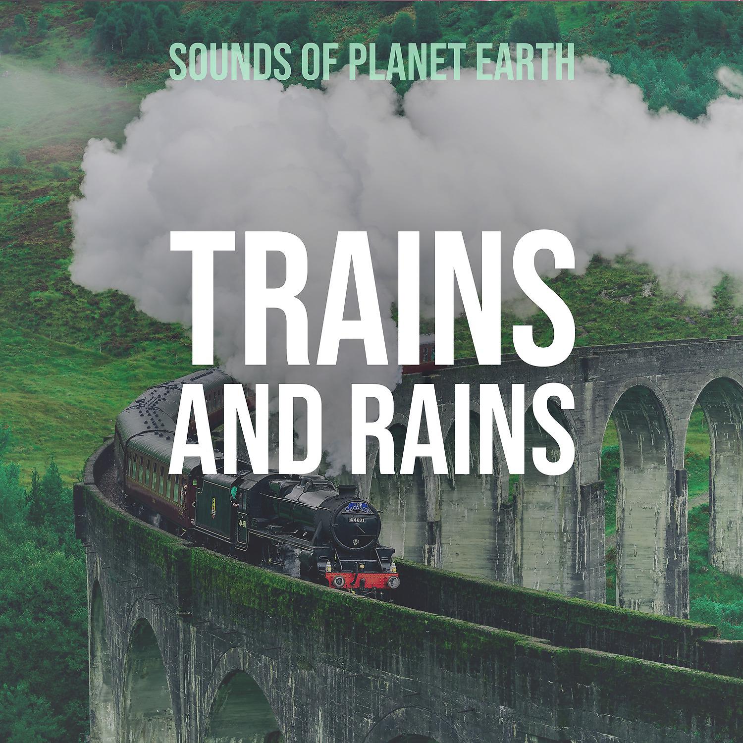 Постер альбома Trains and Rains