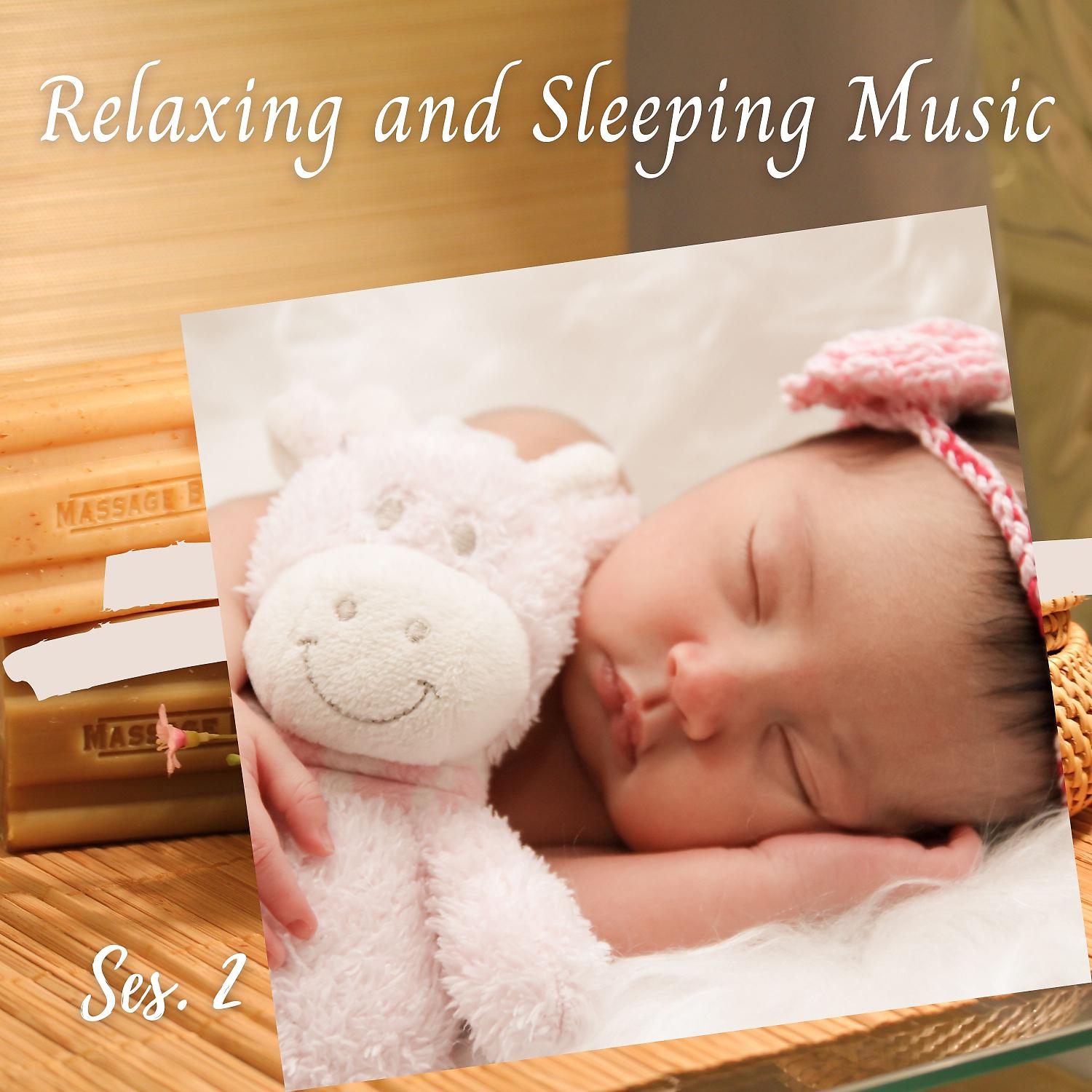 Постер альбома Relaxing and Sleeping Music Ses. 2