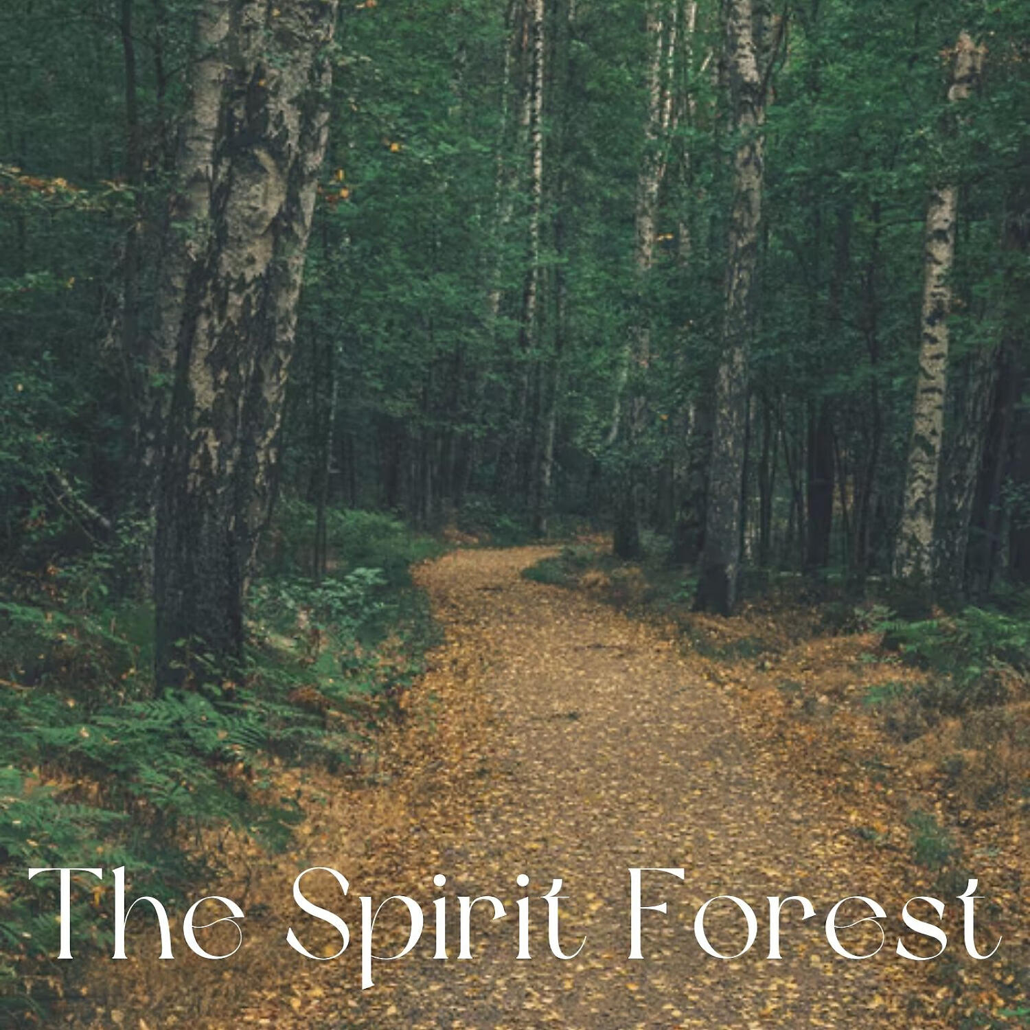 The Nature Soundscapes - Rivers & Windy Waterfalls for Sleep