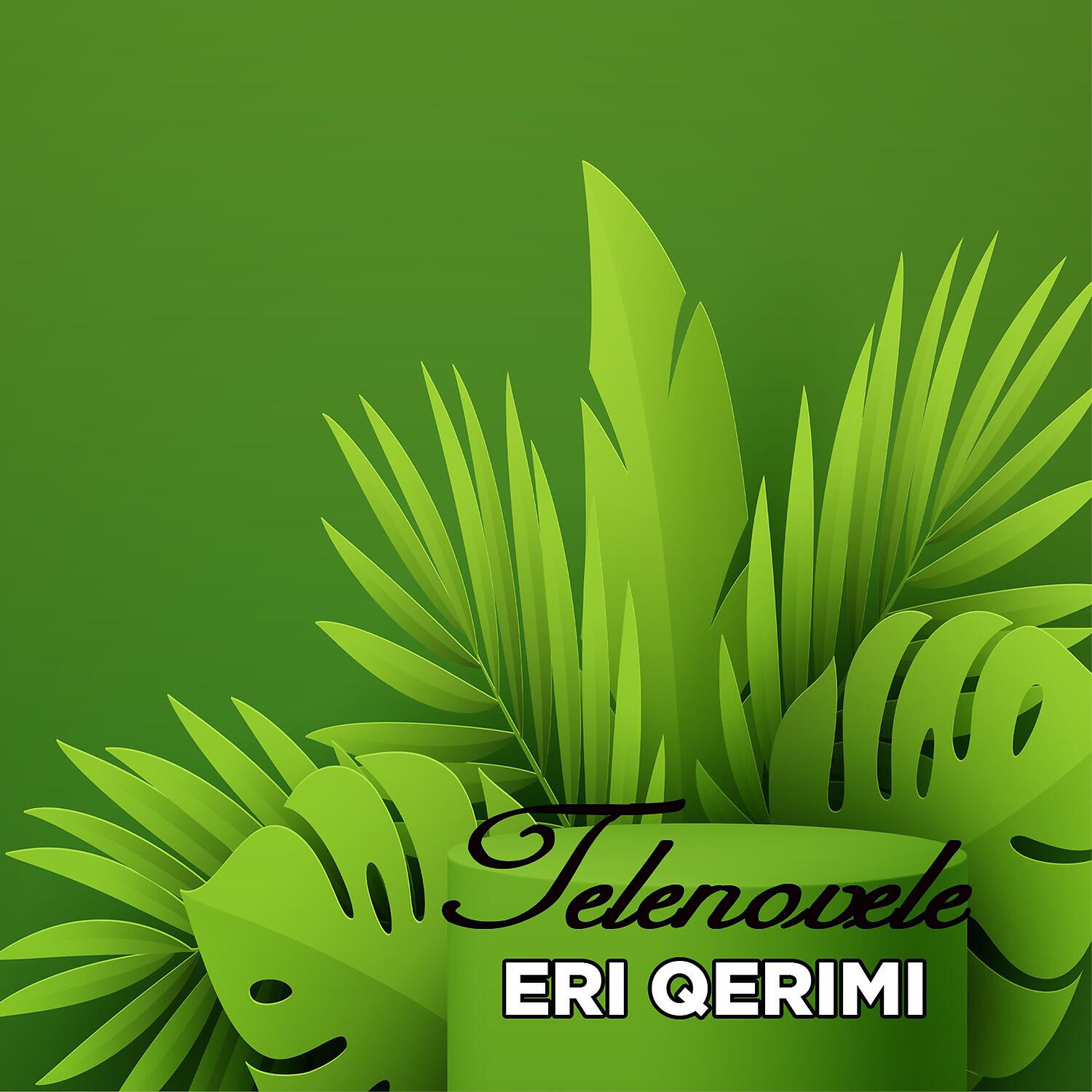 Eri Qerimi - Telenovele