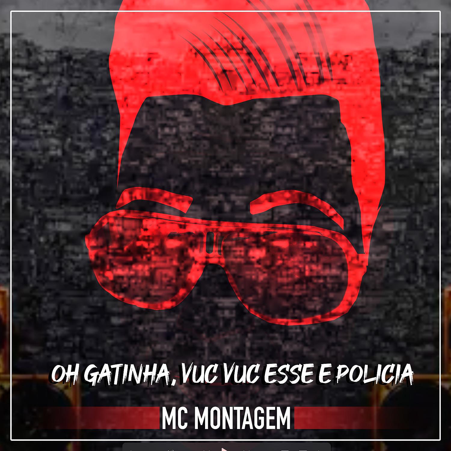 Постер альбома Oh Gatinha, Vuc Vuc Esse e Policia