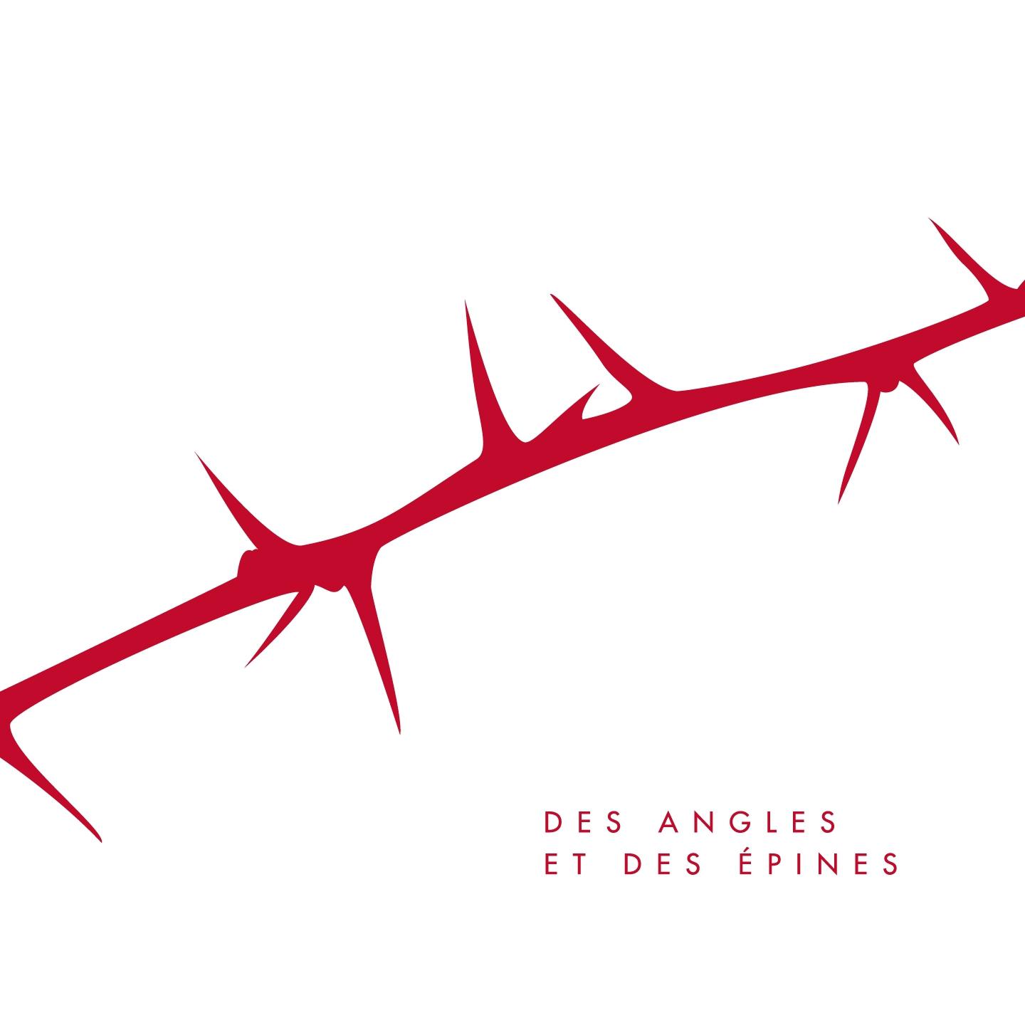 Постер альбома Des angles et des épines