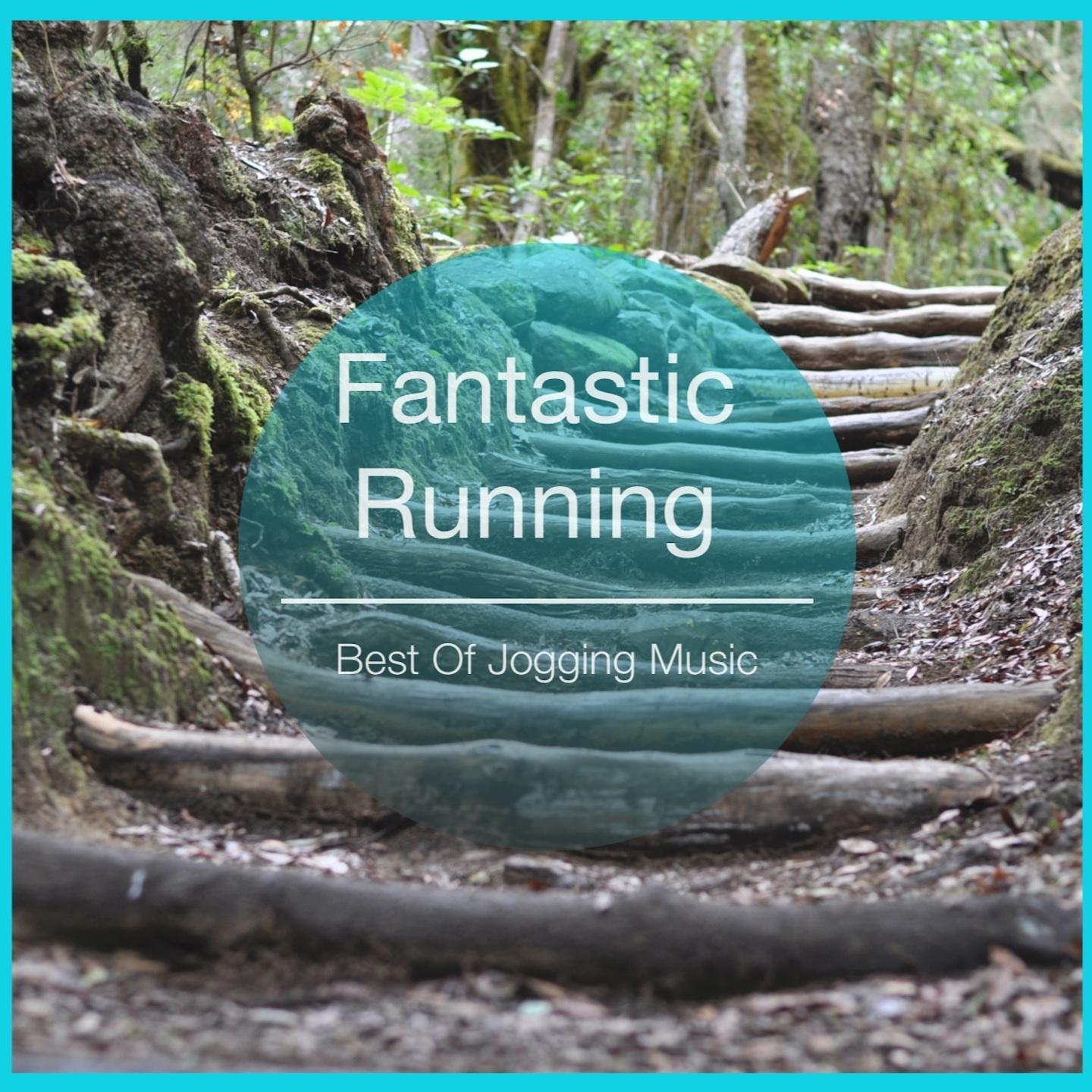 Постер альбома Fantastic Running
