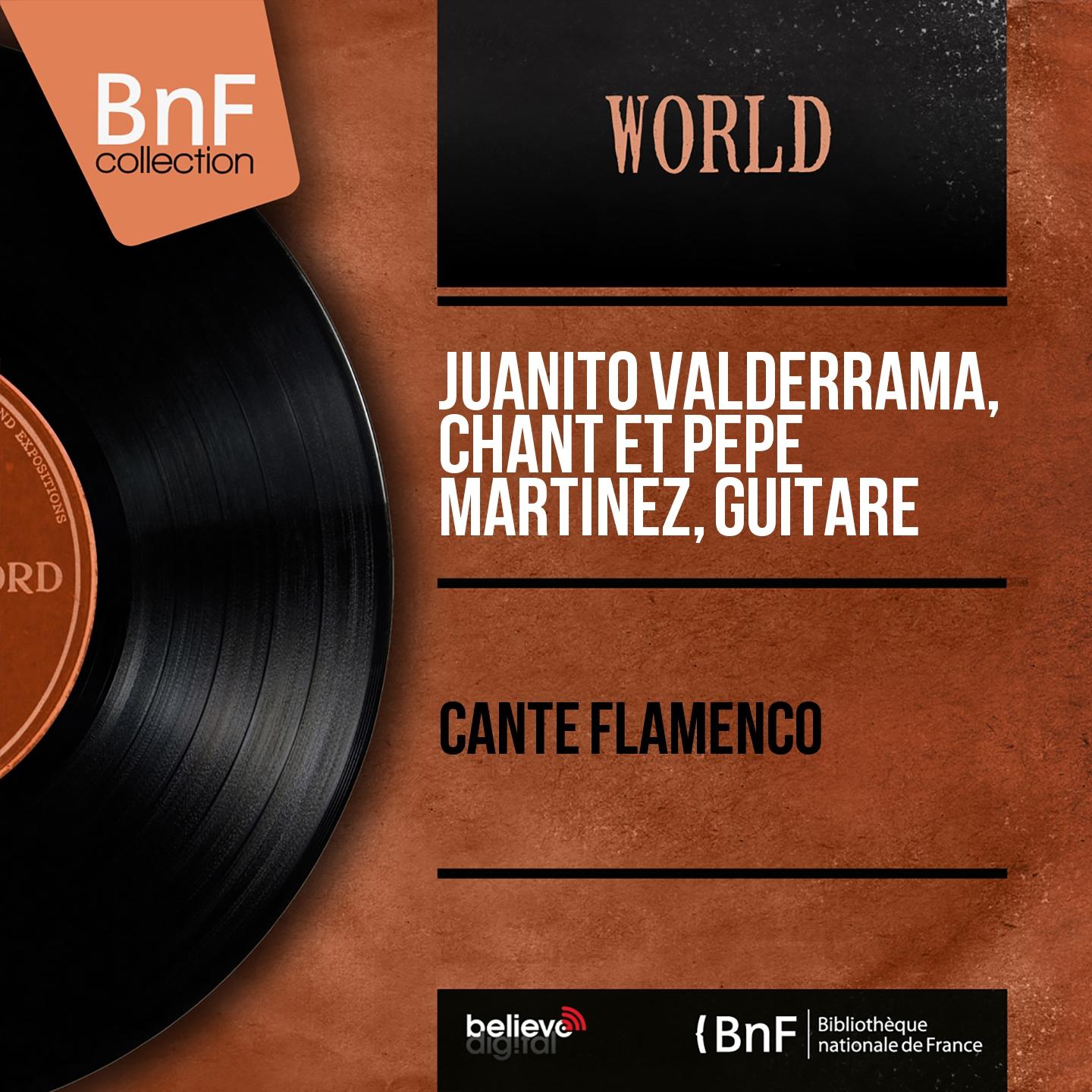 Постер альбома Cante Flamenco (Mono Version)