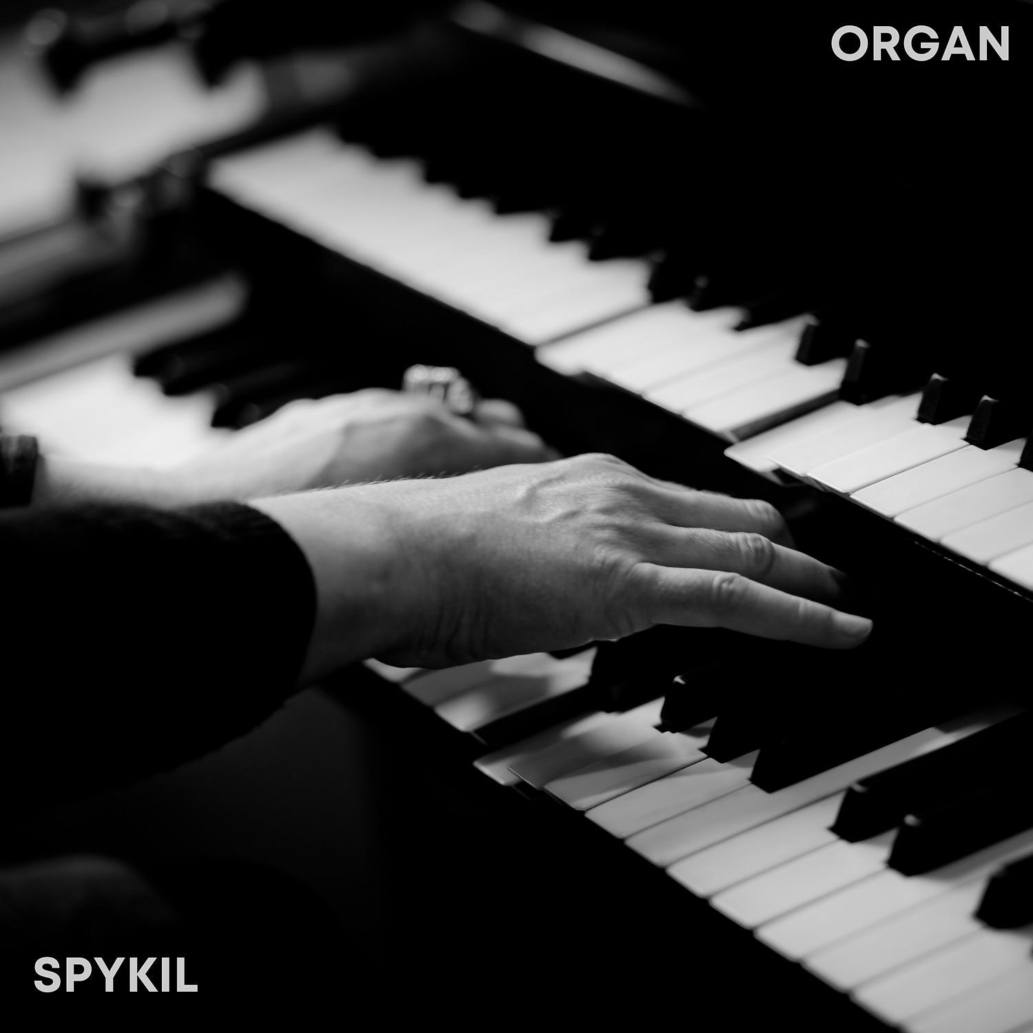 Постер альбома Organ
