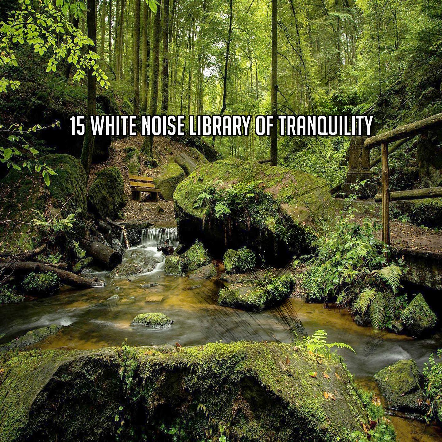 Постер альбома 15 White Noise Library Of Tranquility