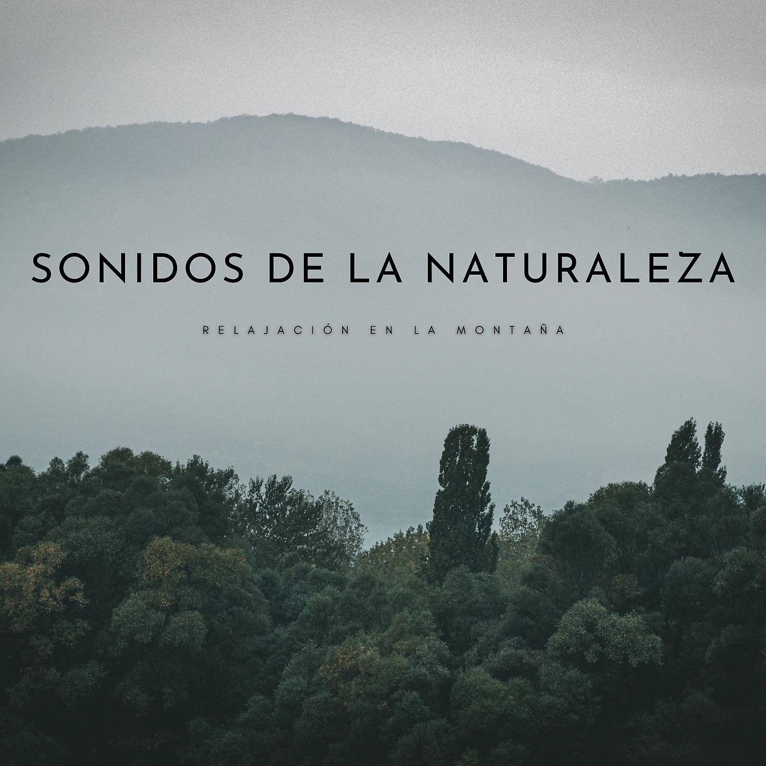 Постер альбома Sonidos De La Naturaleza: Relajación En La Montaña