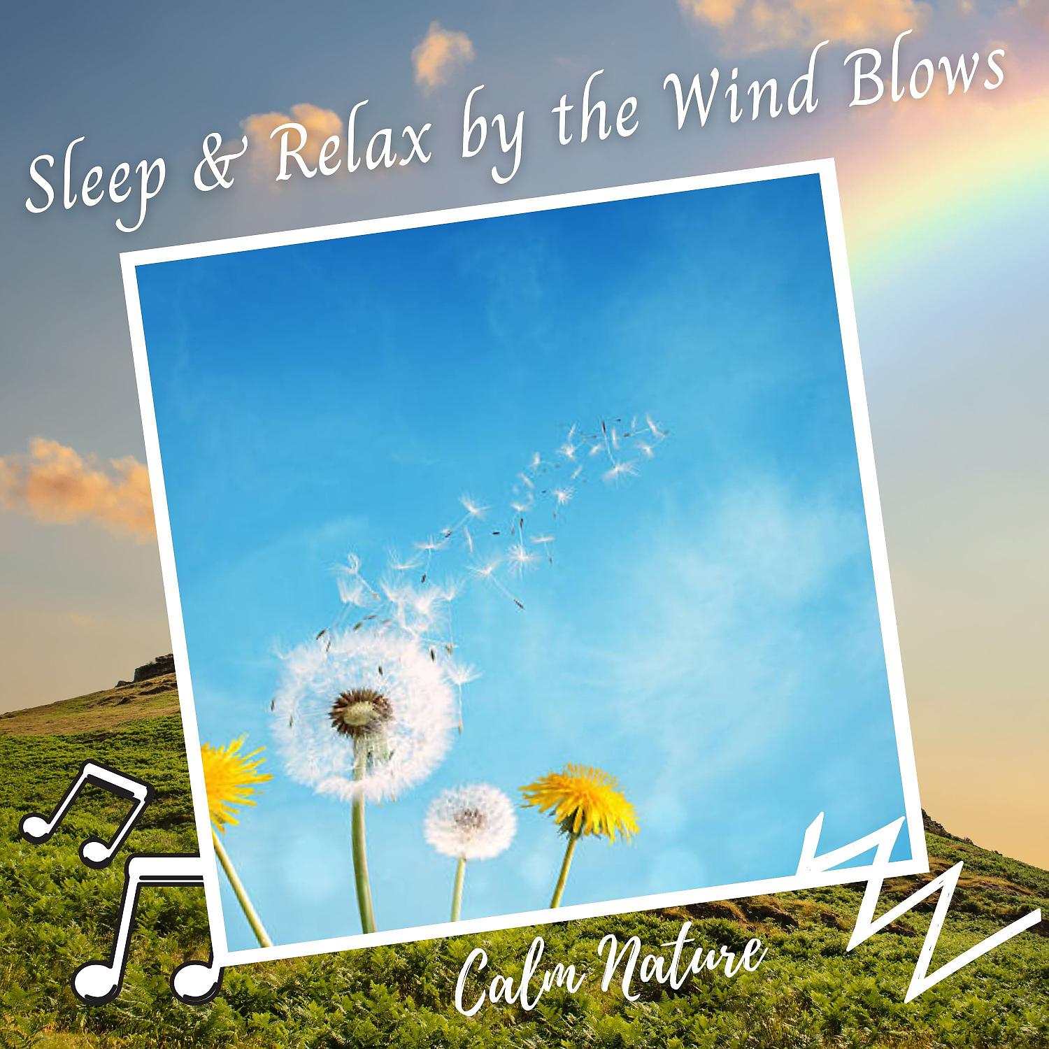 Постер альбома Calm Nature: Sleep & Relax by the Wind Blows - 1 Hour