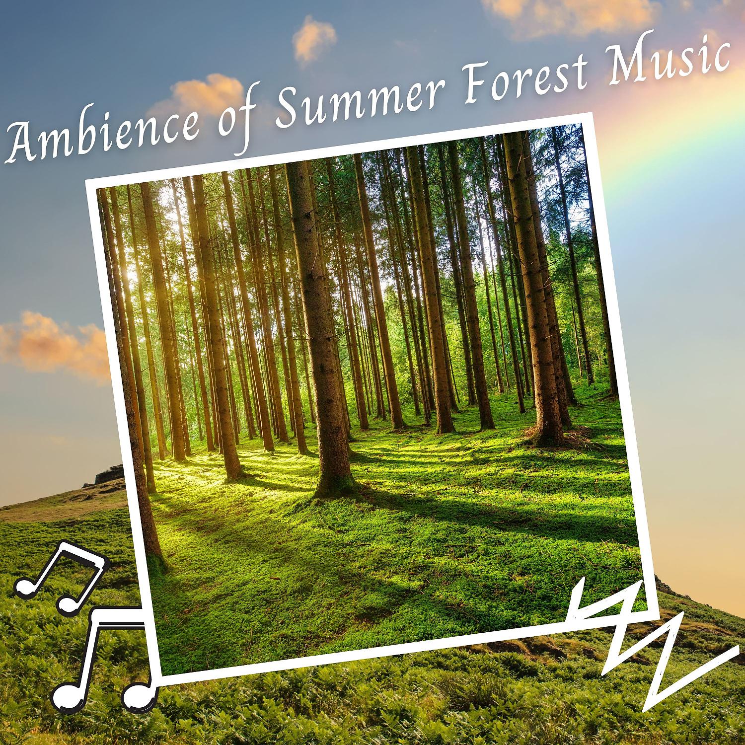 Постер альбома Ambience of Summer Forest Music