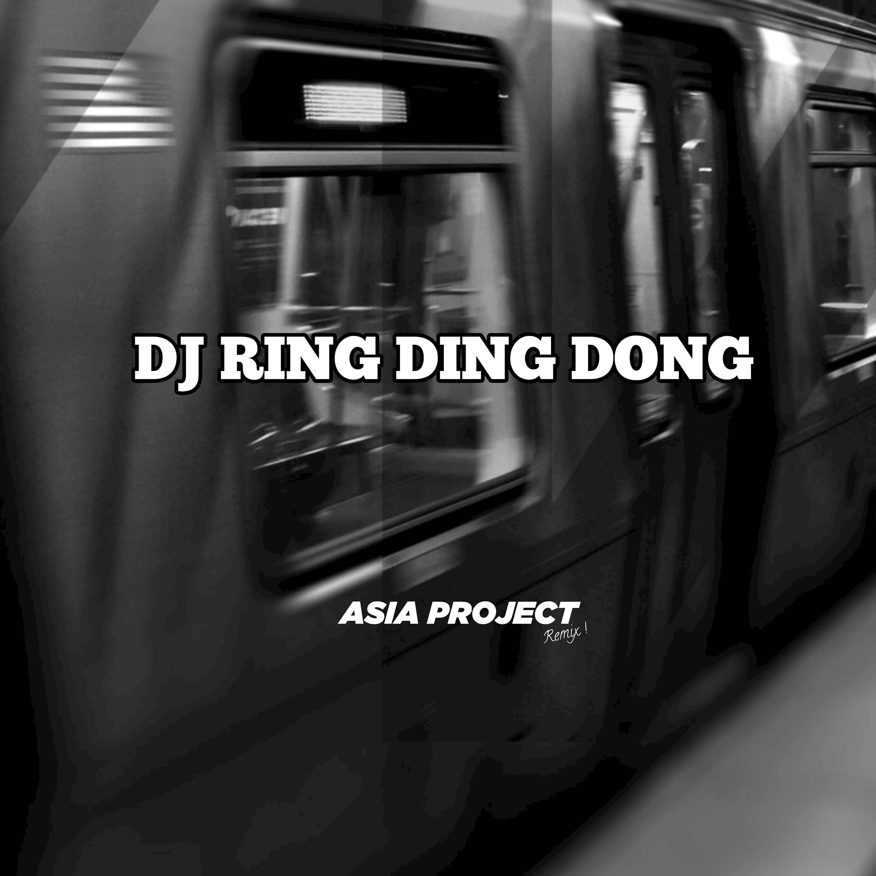 Постер альбома DJ Ring Ding Dong Jedag Jedug