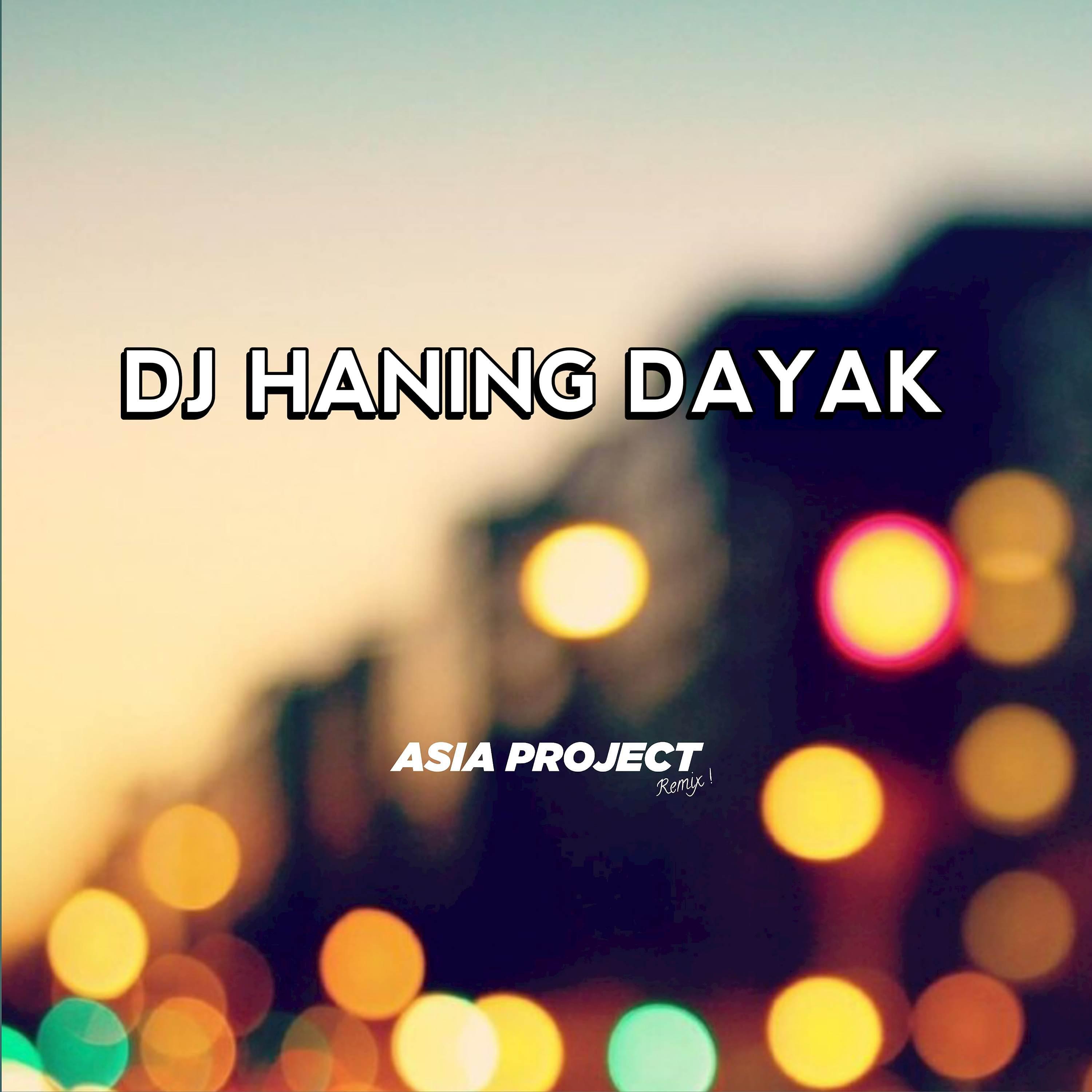 Постер альбома DJ Haning Dayak Full Beat