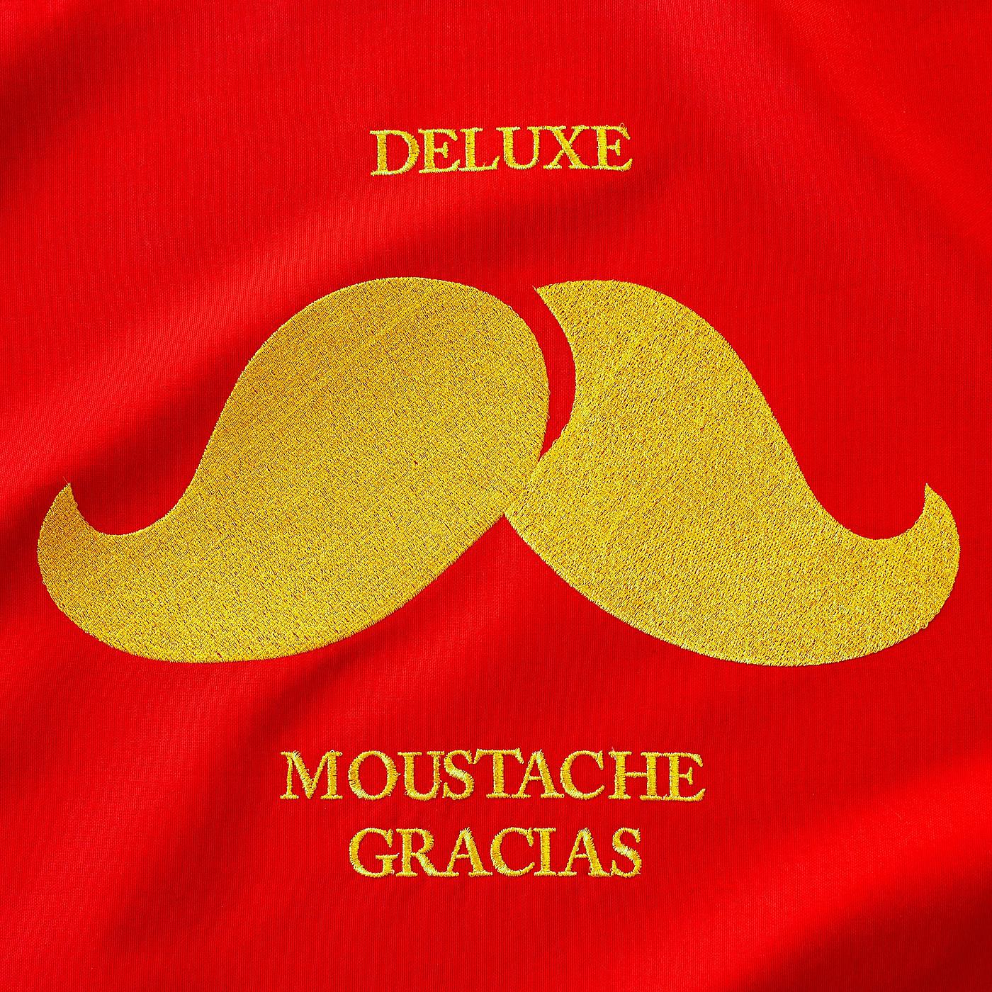 Постер альбома Moustache Gracias