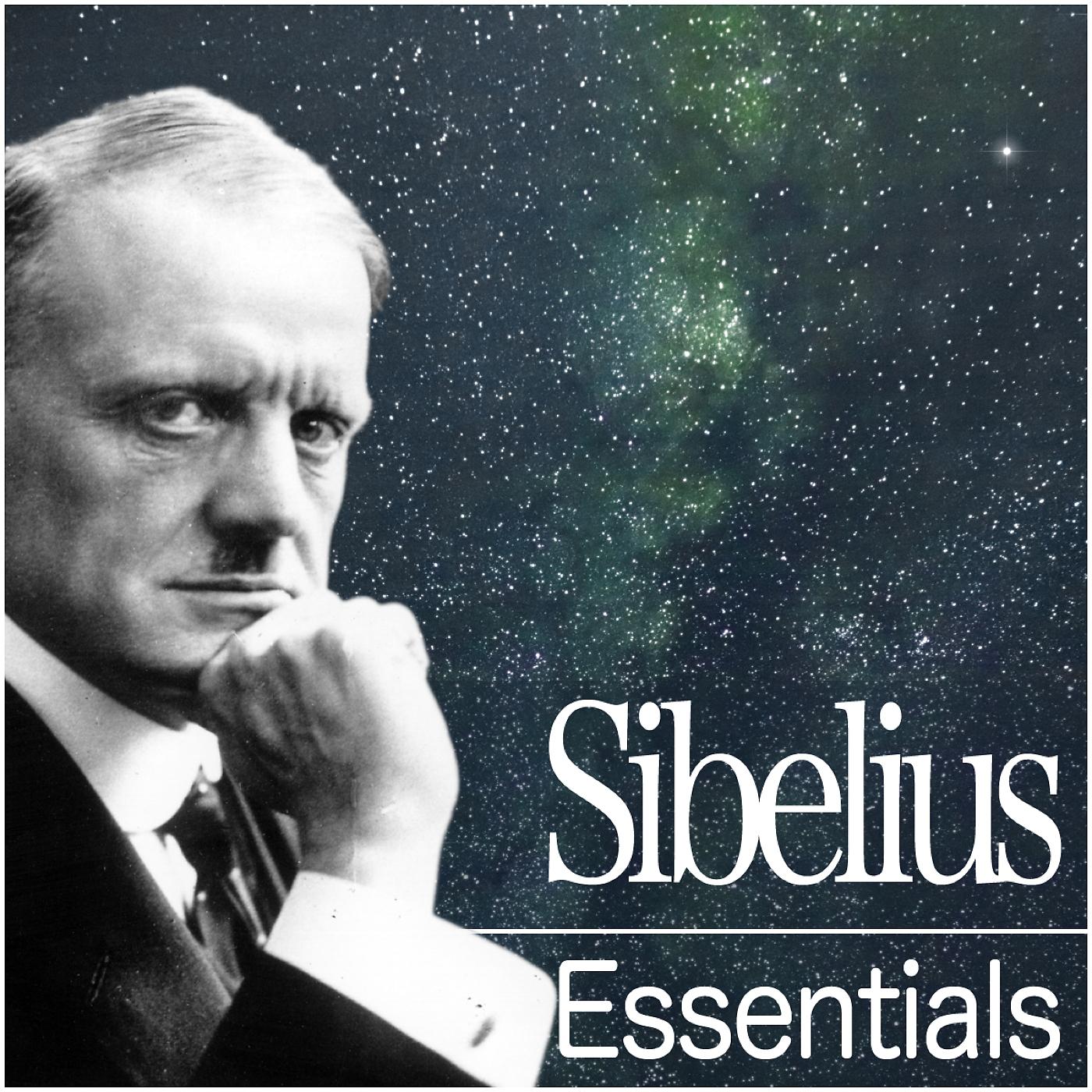 Постер альбома Sibelius Essentials