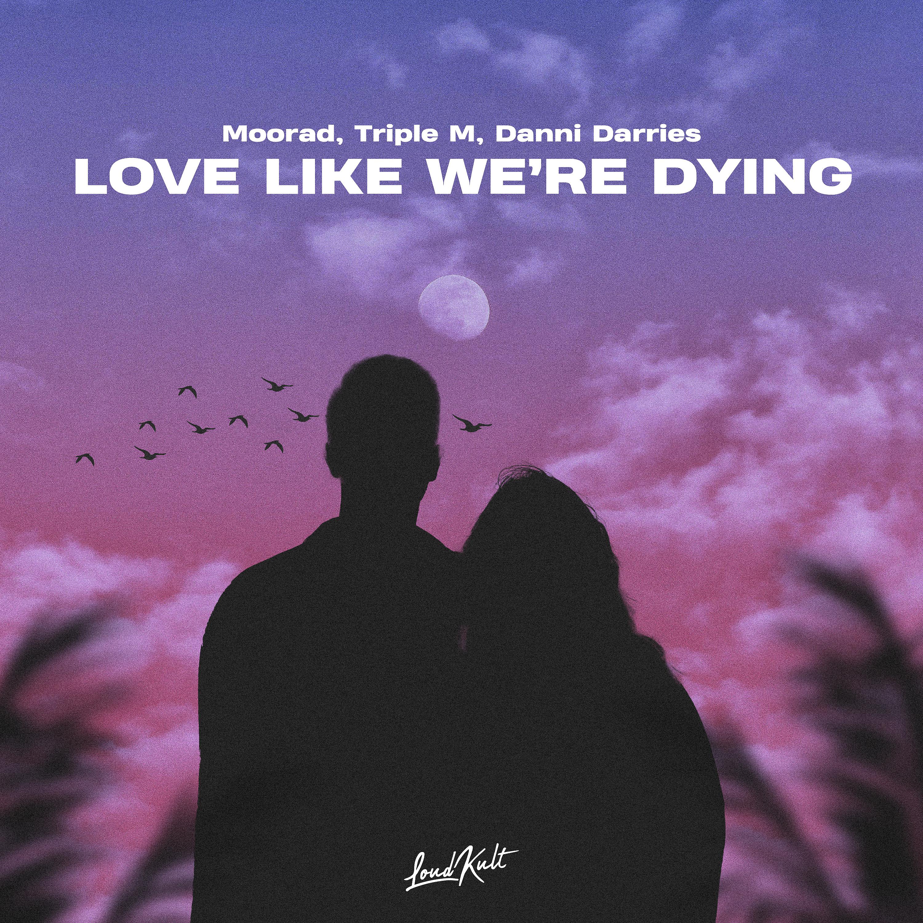 Постер альбома Love Like We're Dying