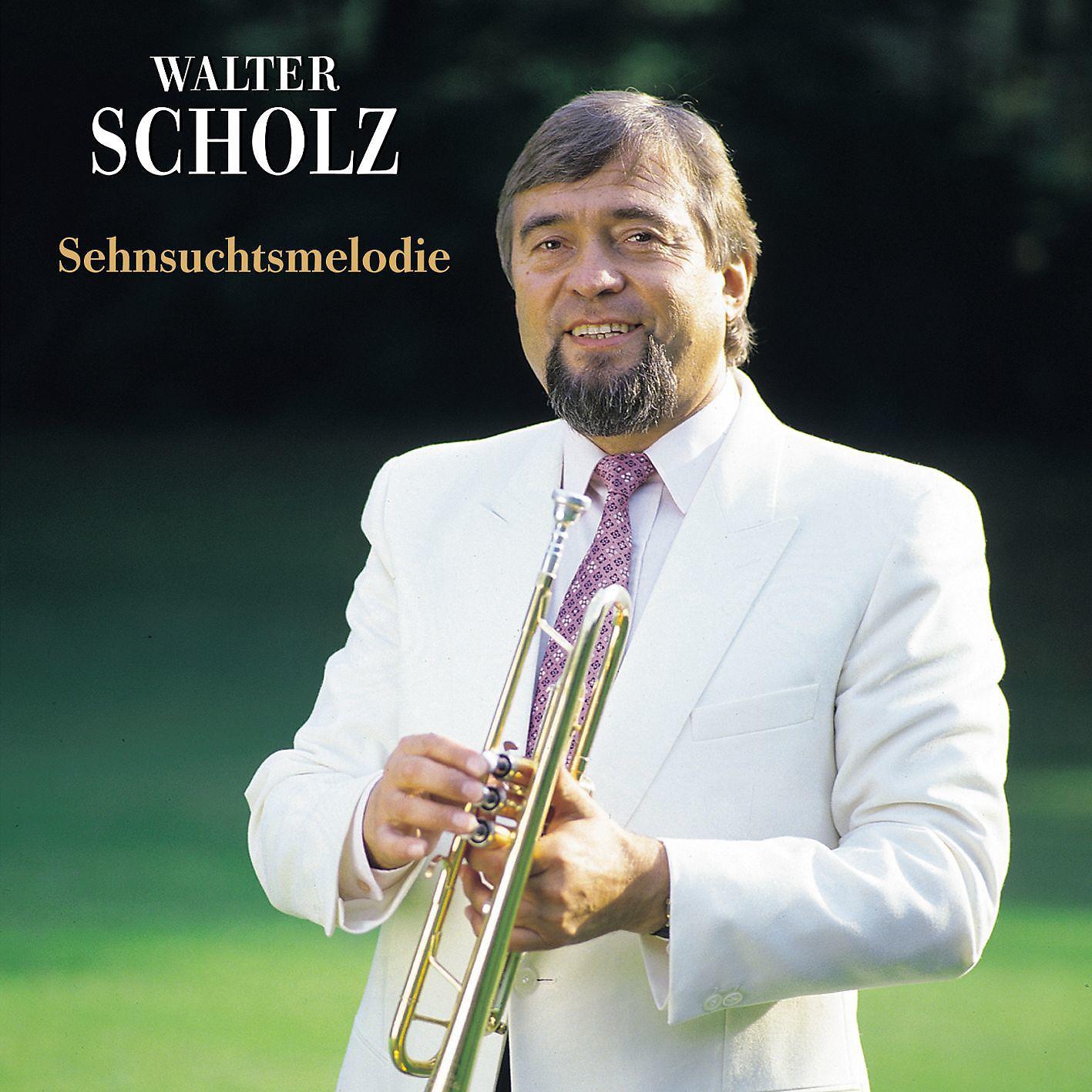Постер альбома Sehnsuchtsmelodie