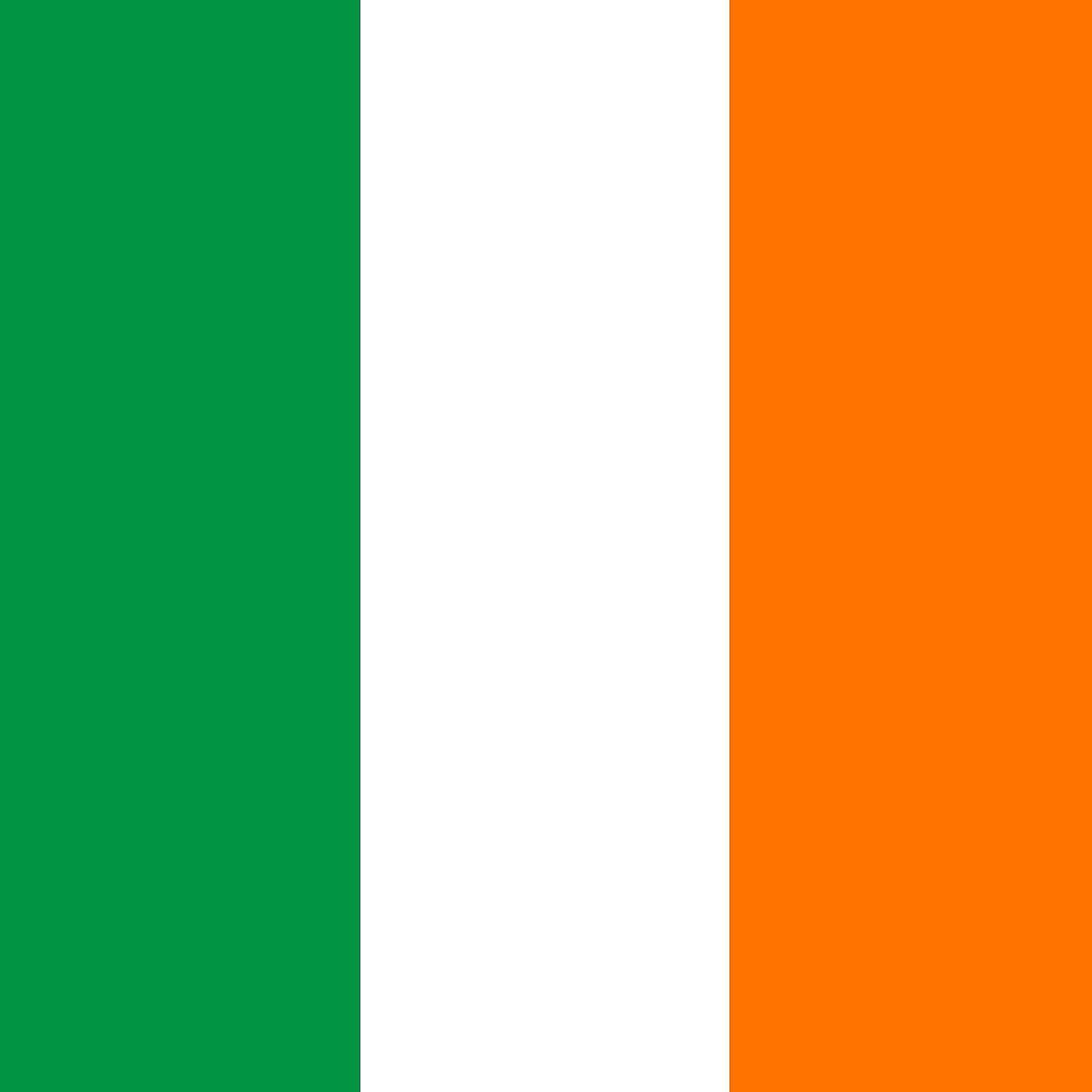 Постер альбома Irish Celebration