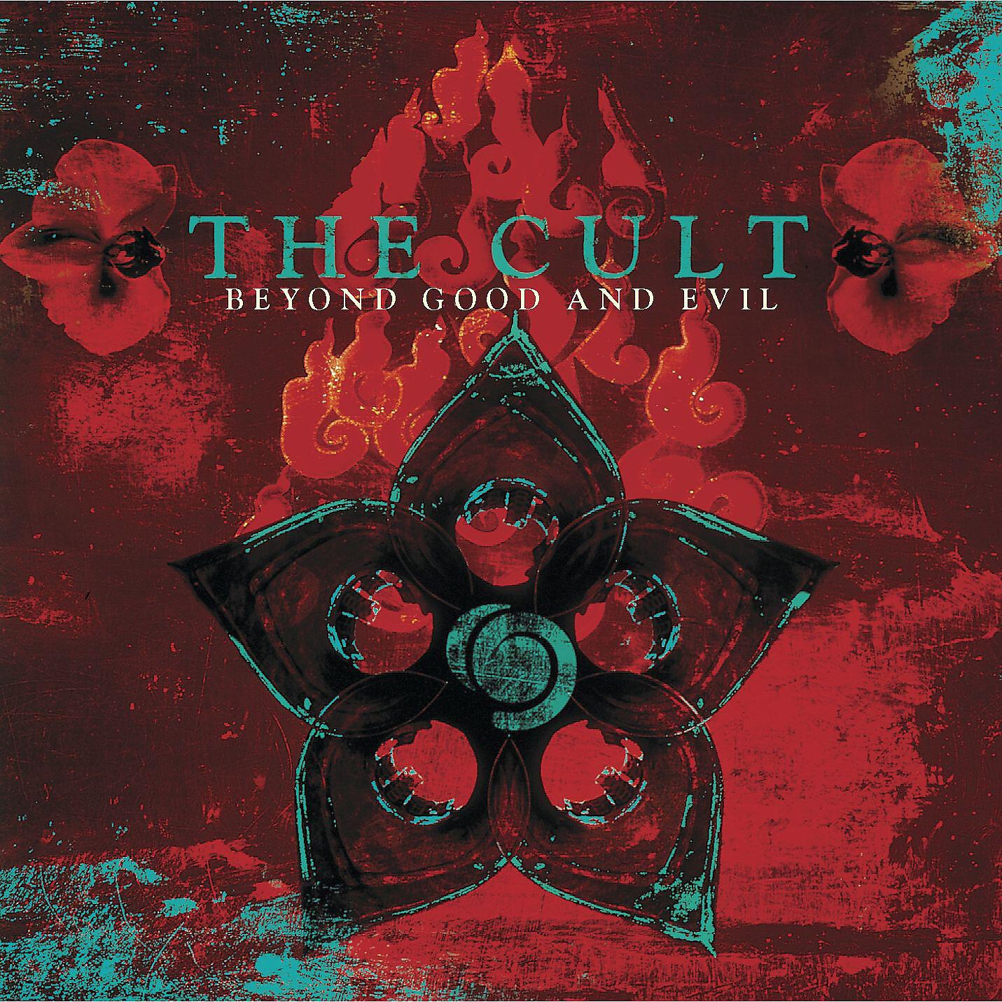 The Cult - true believers