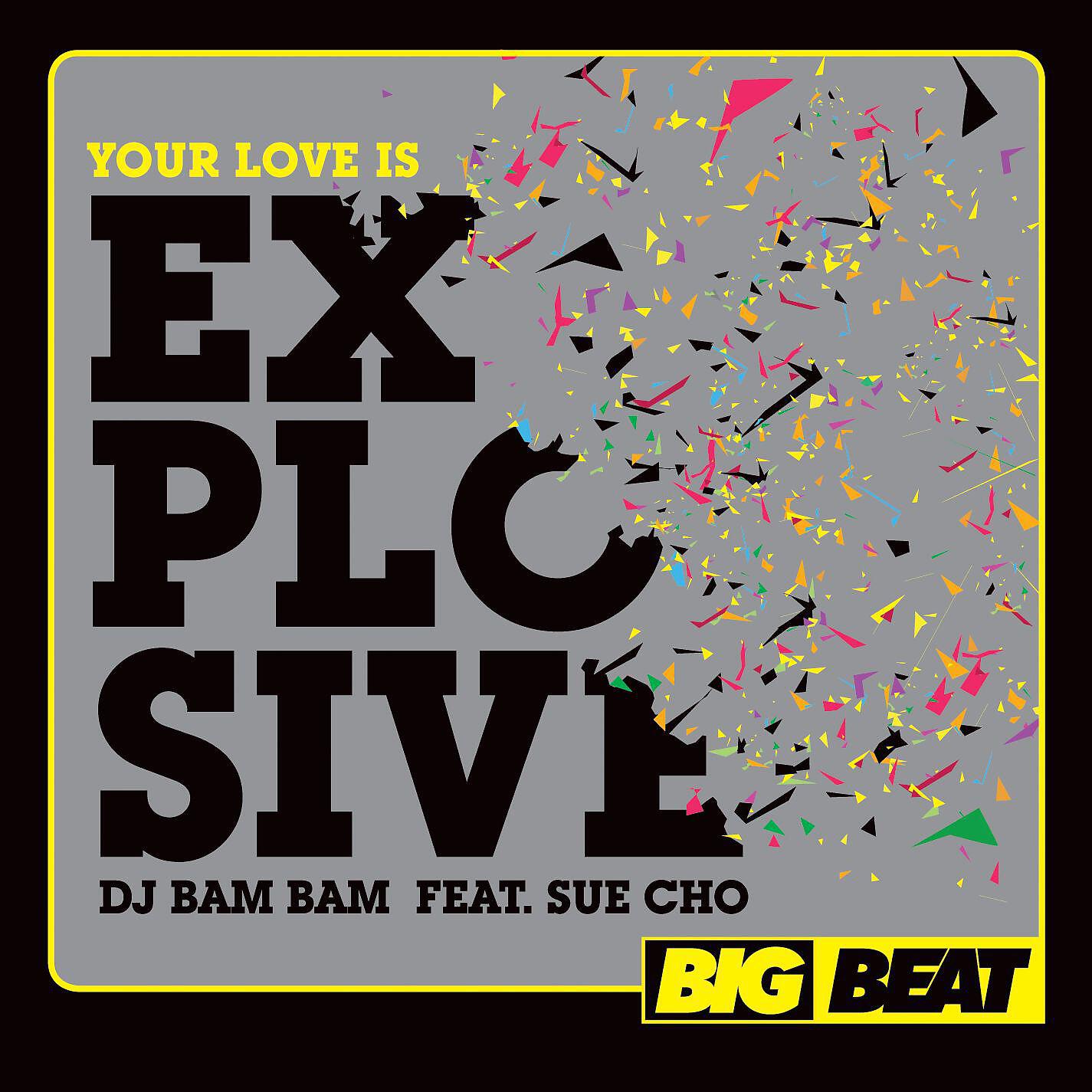 DJ Bam Bam - Your Love Is Explosive (feat. Sue Cho) [Radio Edit]