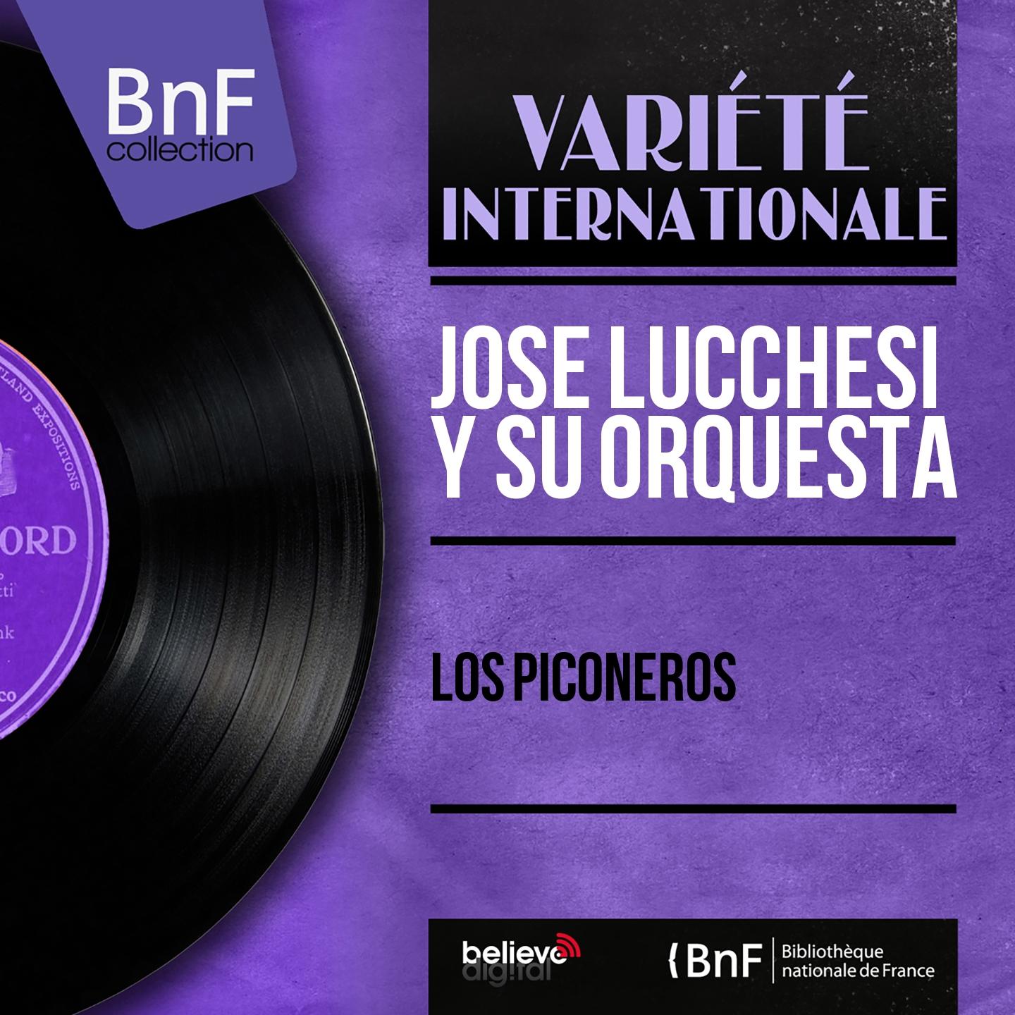 Постер альбома Los Piconeros (Mono Version)