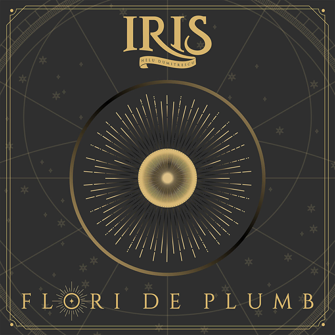 IRIS  - Nelu Dumitrescu - Un alt format
