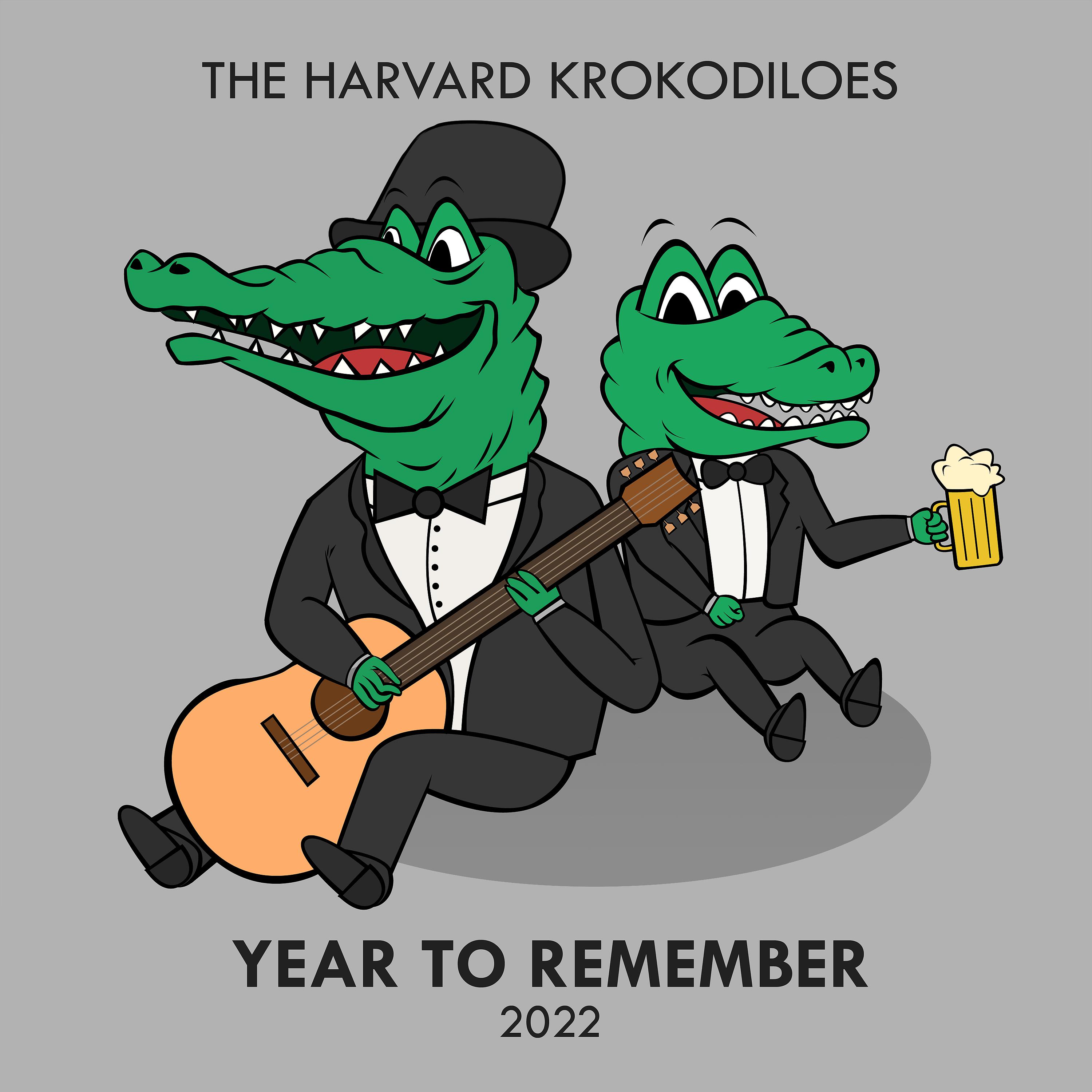 Постер альбома Year to Remember (2022)