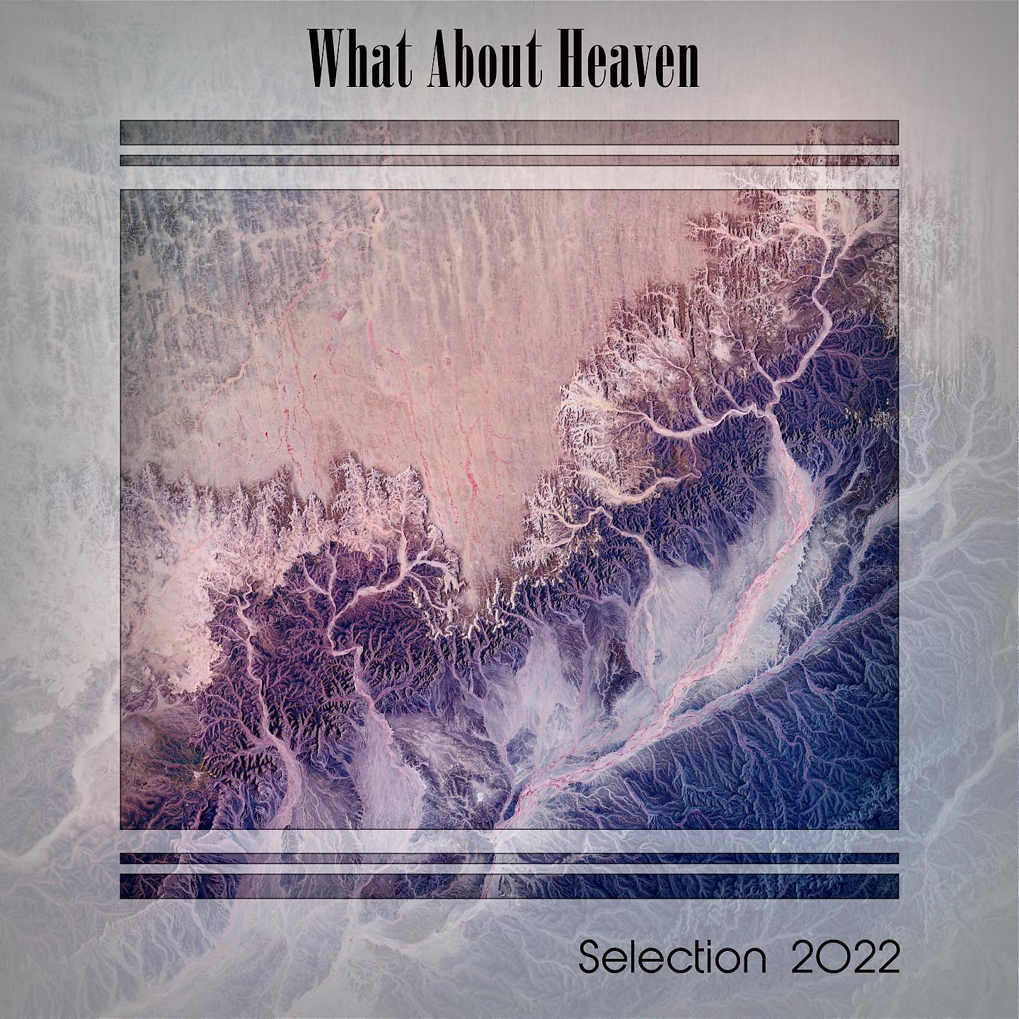 Постер альбома WHAT ABOUT HEAVEN SELECTION 2022