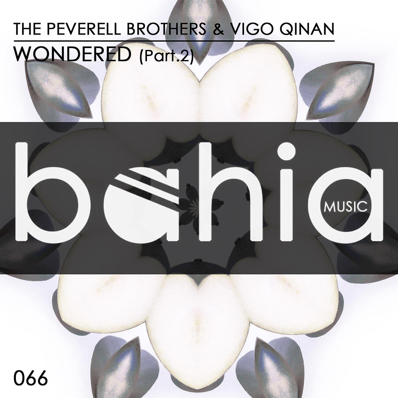 The Peverell Brothers - Wondered (Maliblue Remix)