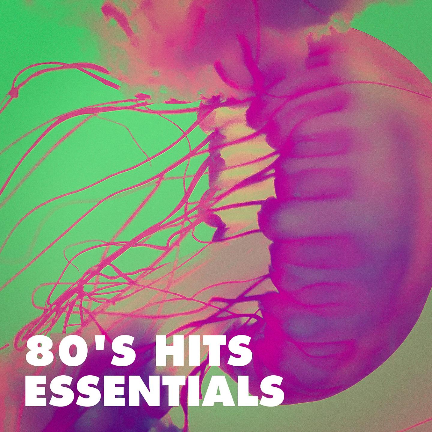 Постер альбома 80's Hits Essentials