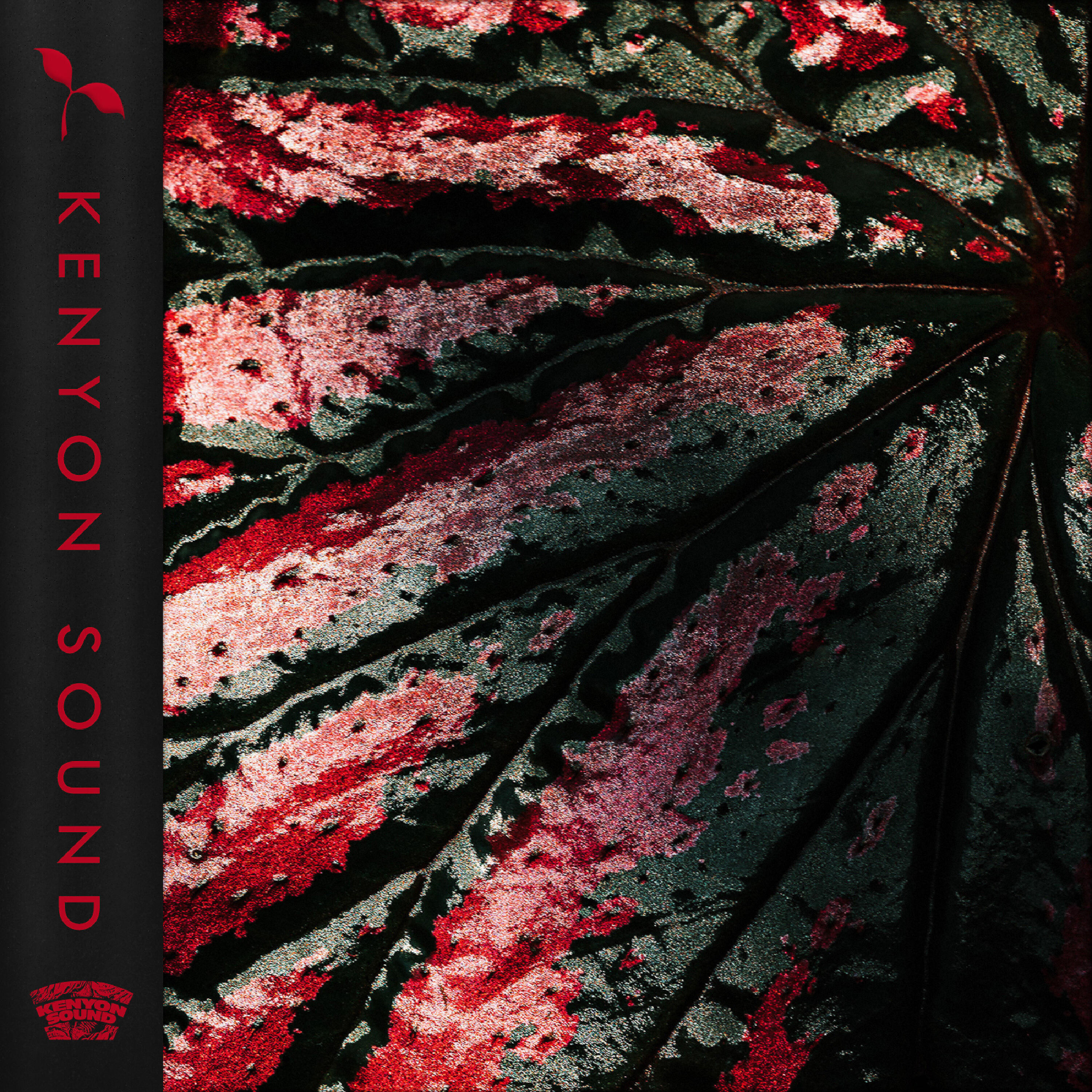 Meio Feel - Begonia (Taleko Remix)