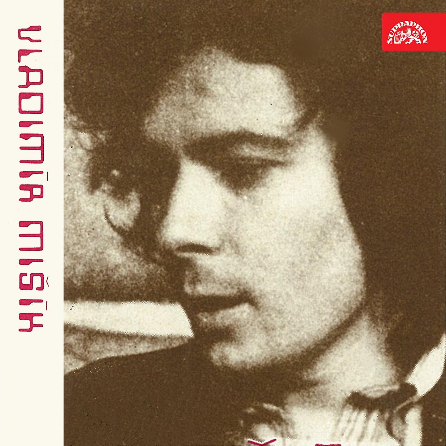 Постер альбома Vladimír Mišík