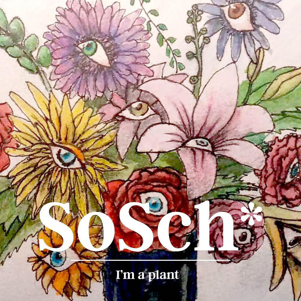 SoSch* - Ports