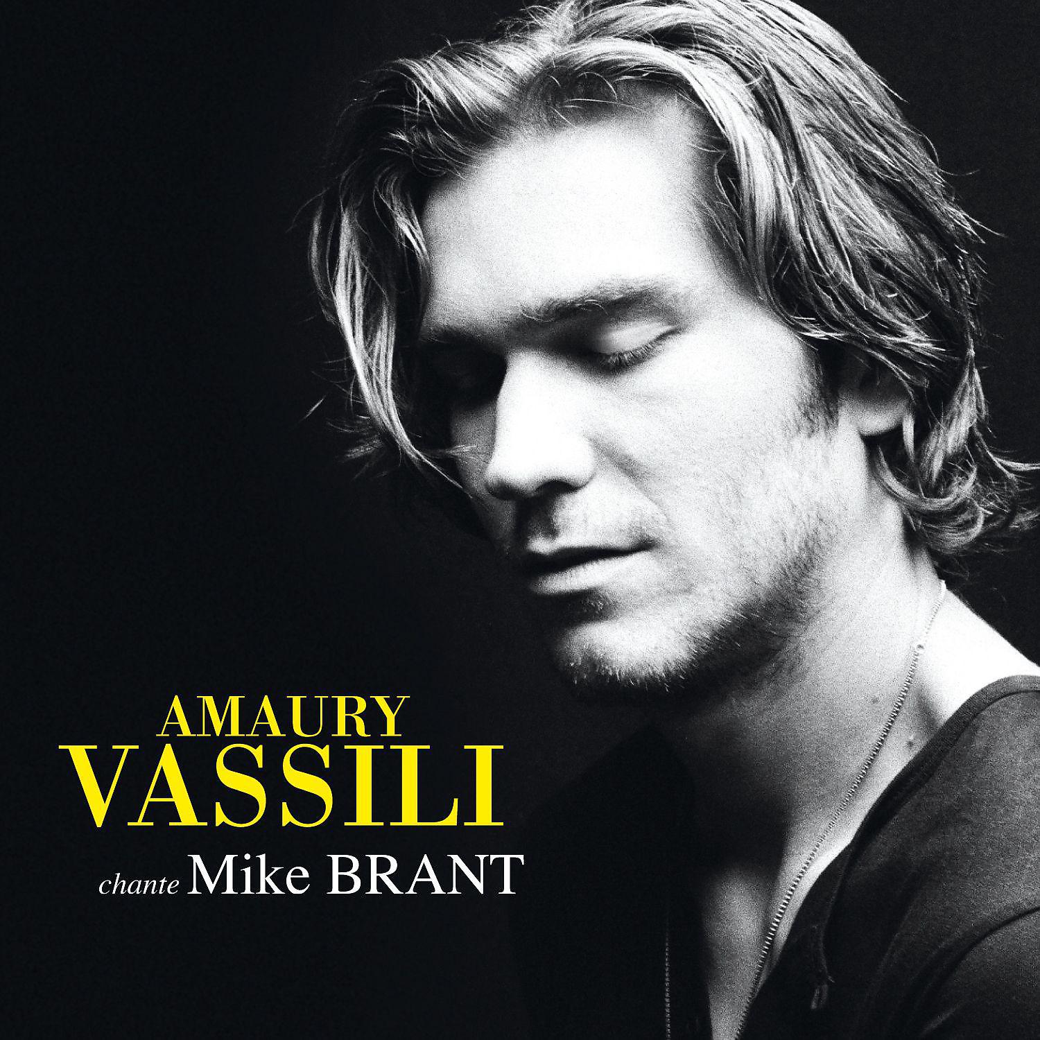 Постер альбома Amaury Vassili chante Mike Brant
