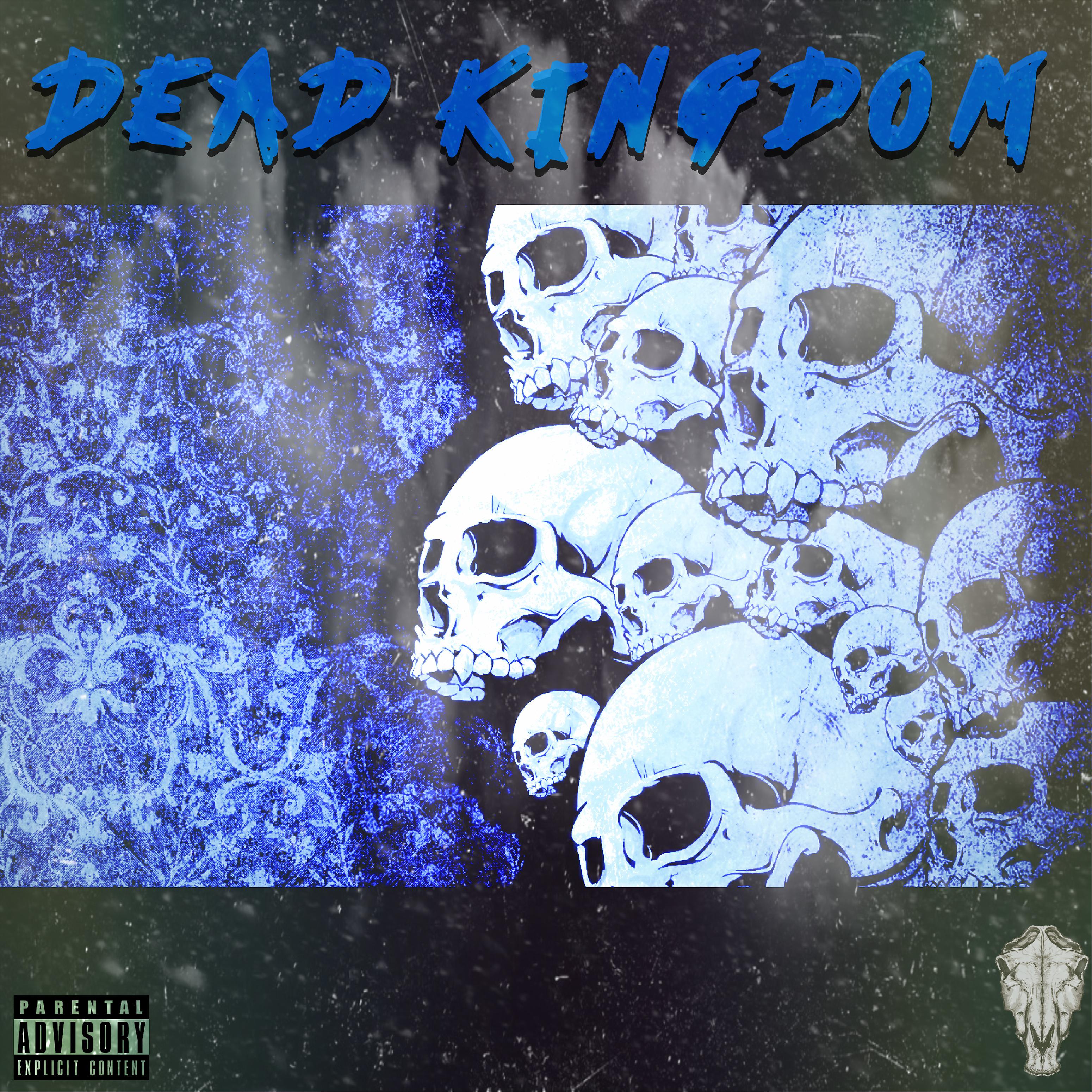 Постер альбома Dead Kingdom